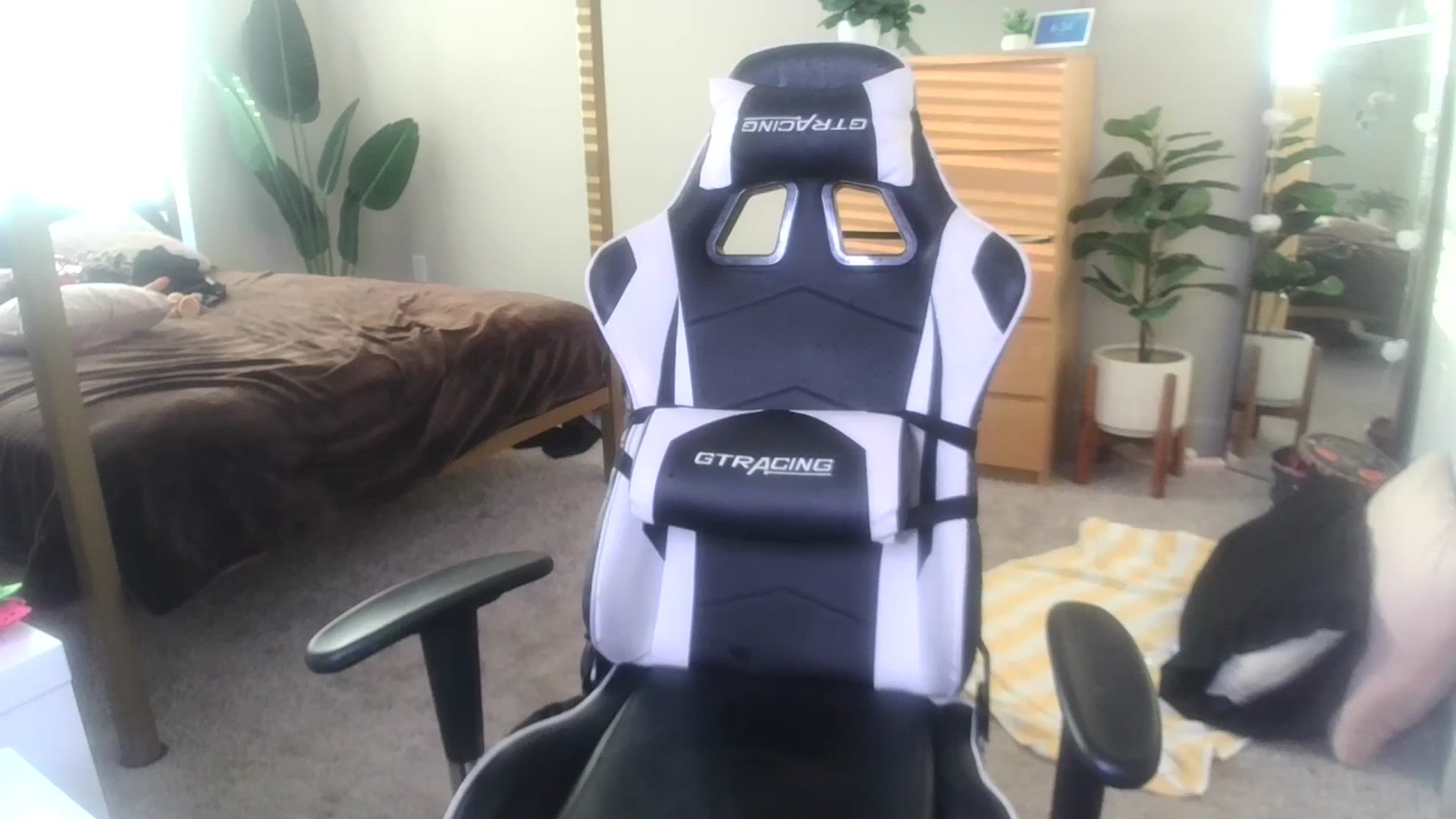 Gallery image thumbnail from Alexis_Anne's myfreecams stream on, 10/13/2023, 22:40 image 17 of 20