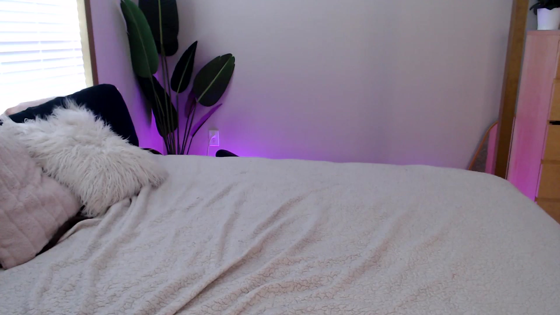 Gallery image thumbnail from Alexis_Anne's myfreecams stream on, 10/20/2023, 18:49 image 9 of 20