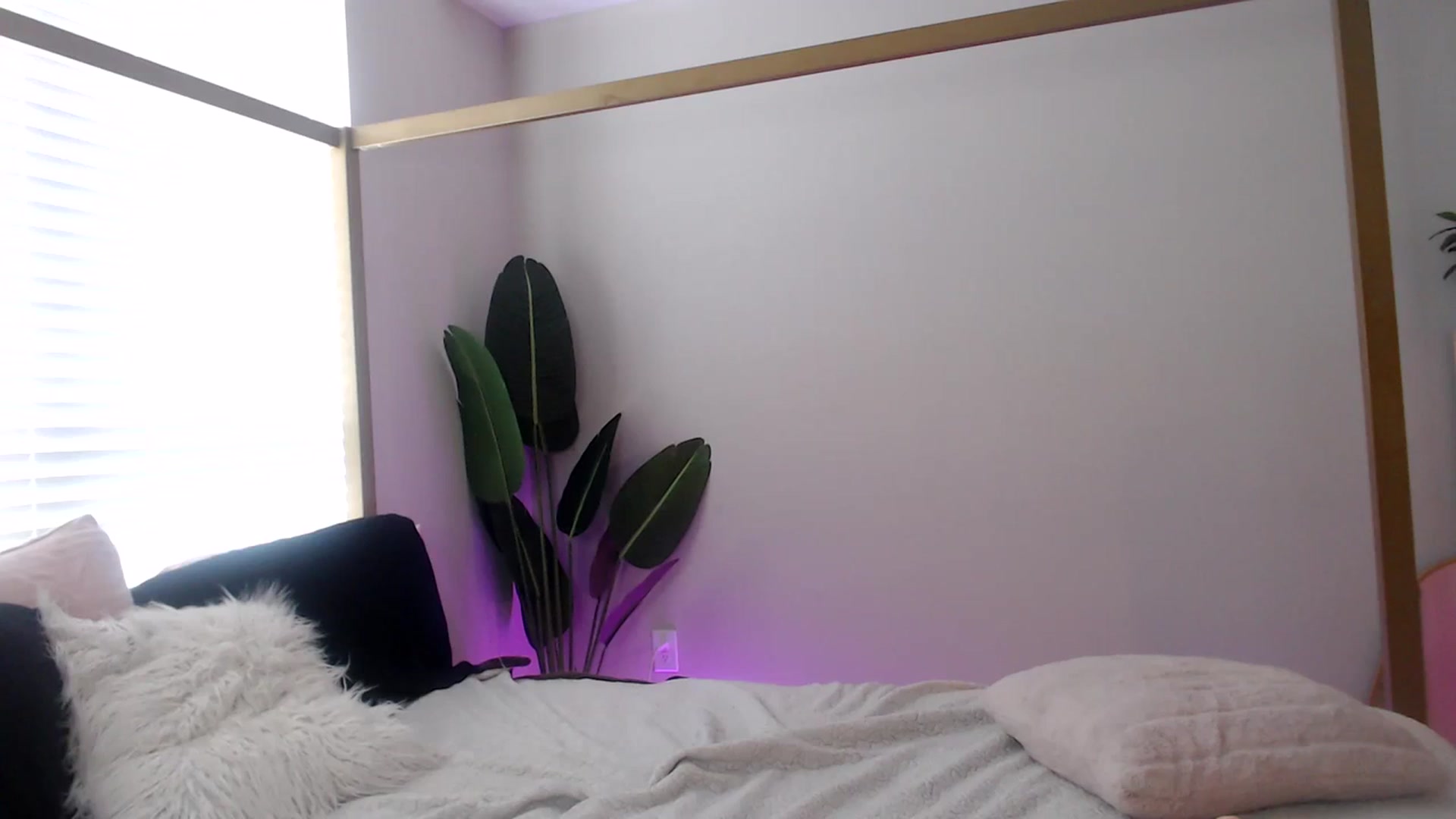 Gallery image thumbnail from Alexis_Anne's myfreecams stream on, 10/20/2023, 19:41 image 13 of 20