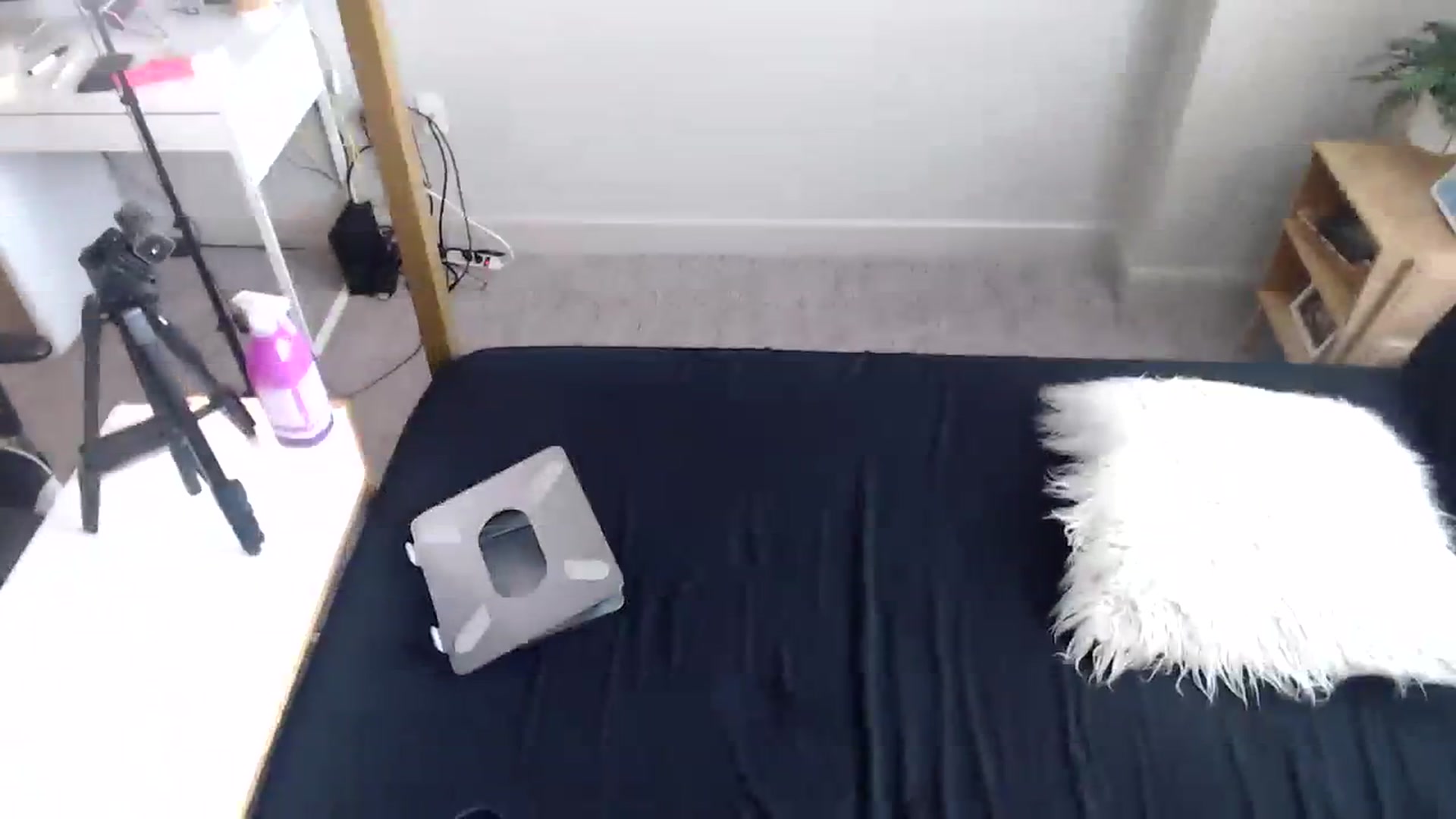 Gallery image thumbnail from Alexis_Anne's myfreecams stream on, 11/03/2023, 21:05 image 11 of 20