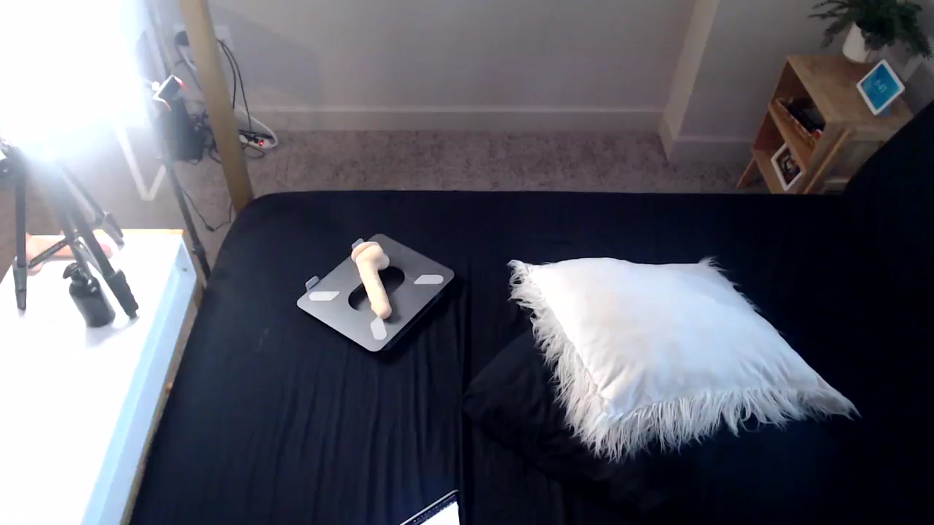 Gallery image thumbnail from Alexis_Anne's myfreecams stream on, 11/03/2023, 23:49 image 13 of 20