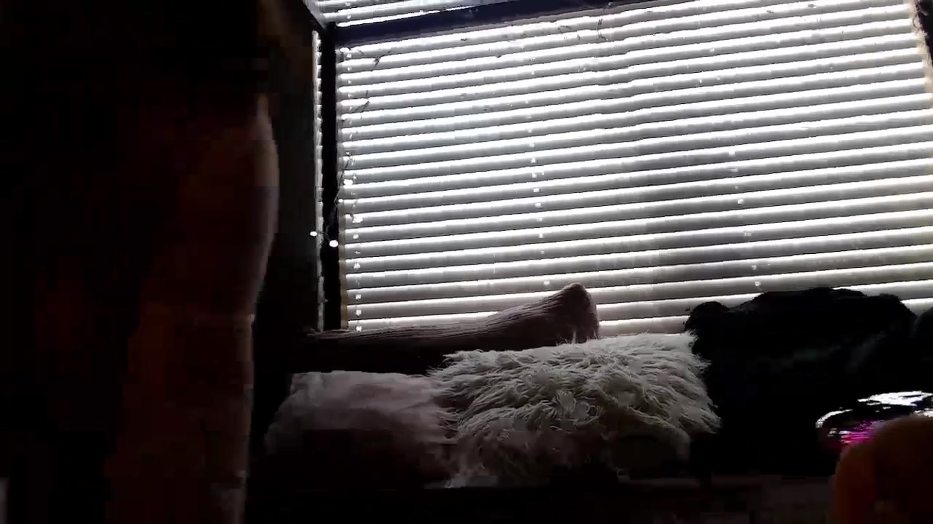 Gallery image thumbnail from Alexis_Anne's myfreecams stream on, 01/06/2024, 20:39 image 10 of 20