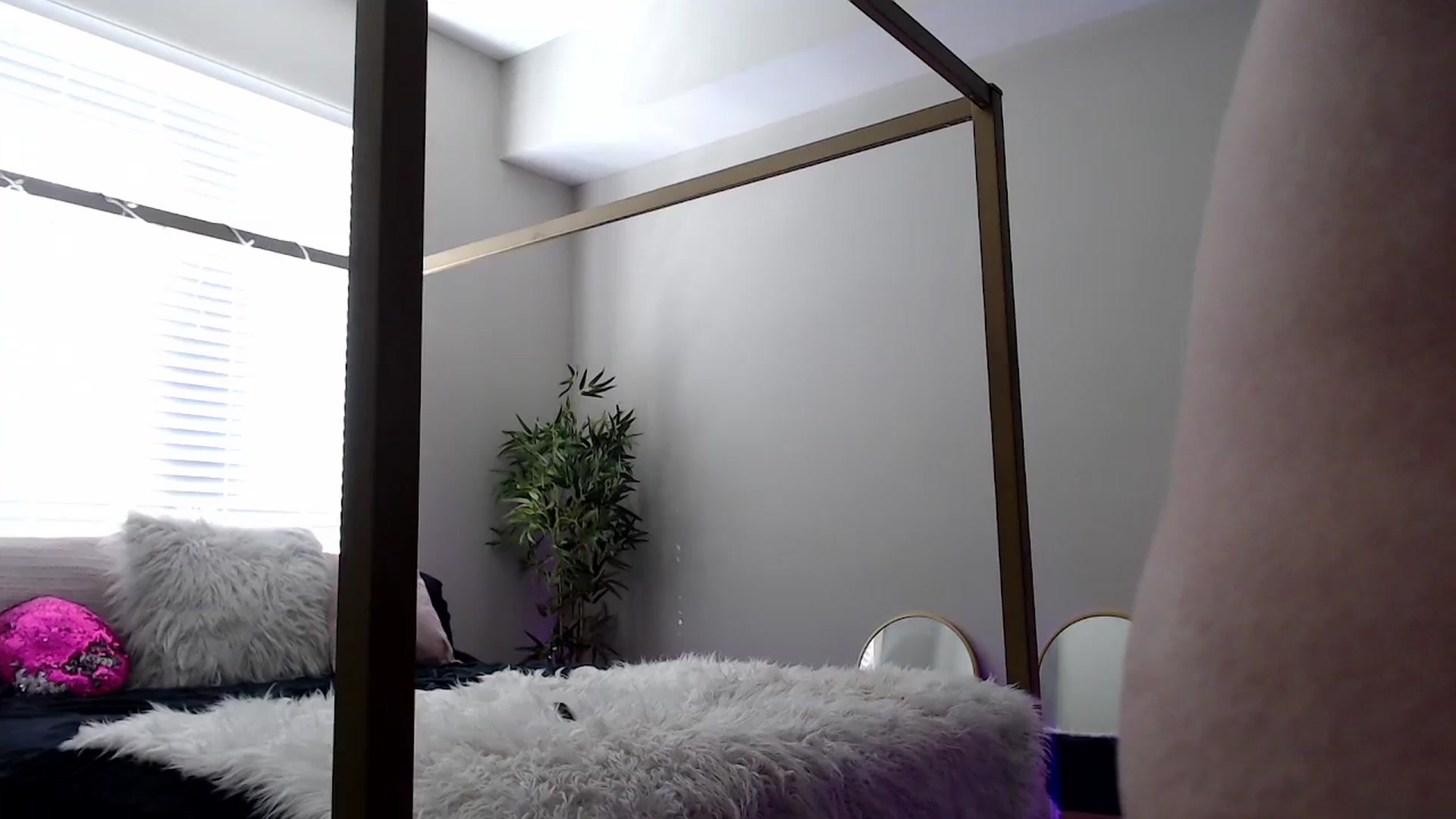 Gallery image thumbnail from Alexis_Anne's myfreecams stream on, 01/31/2024, 19:52 image 11 of 20