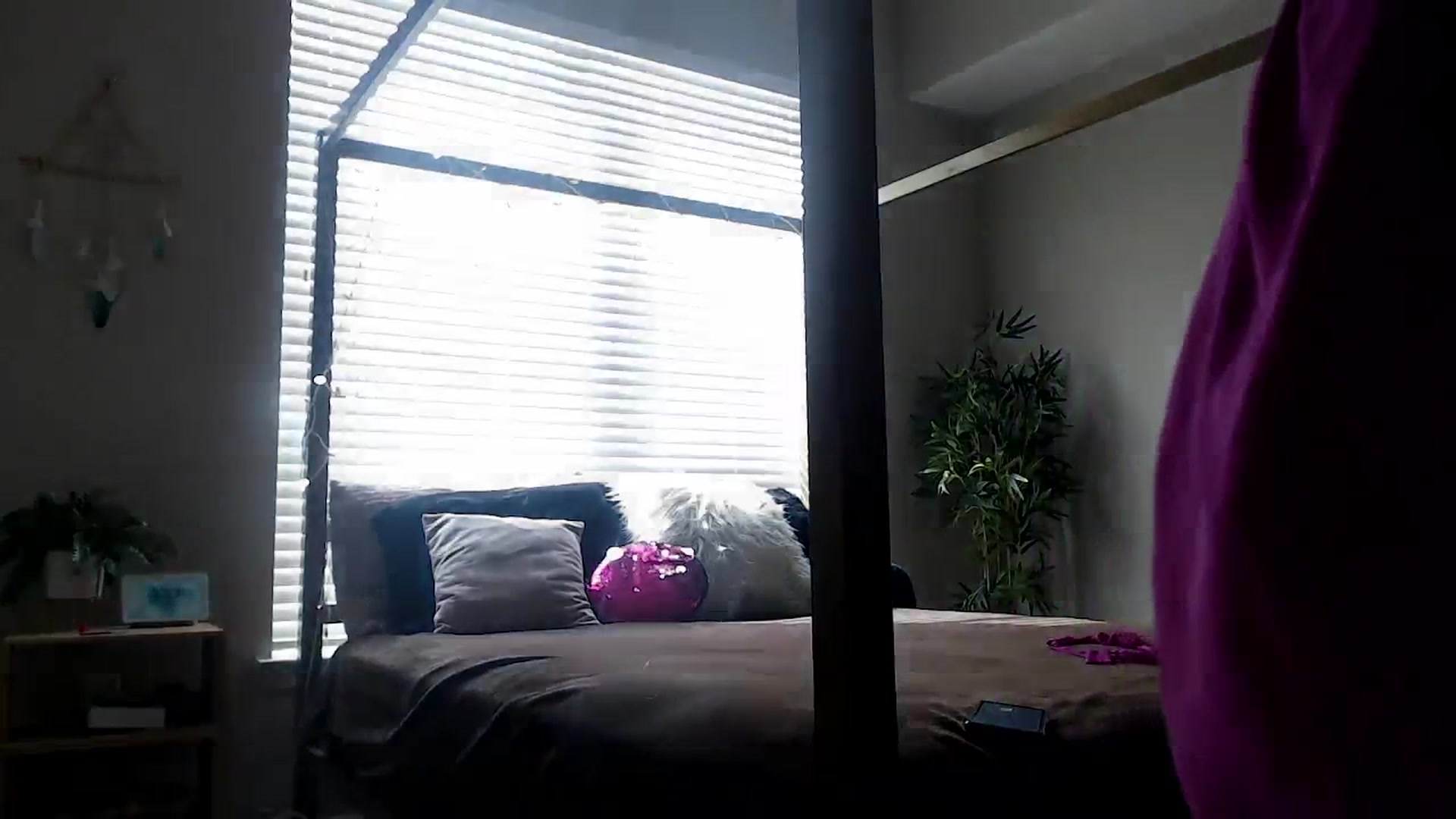 Gallery image thumbnail from Alexis_Anne's myfreecams stream on, 03/01/2024, 20:43 image 7 of 20