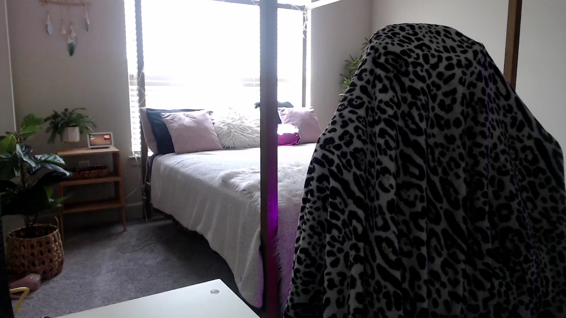 Gallery image thumbnail from Alexis_Anne's myfreecams stream on, 03/12/2024, 18:48 image 2 of 20