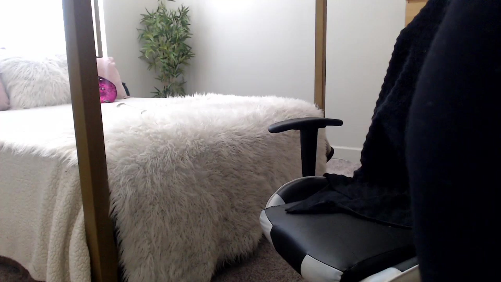 Gallery image thumbnail from Alexis_Anne's myfreecams stream on, 03/19/2024, 17:21 image 10 of 20