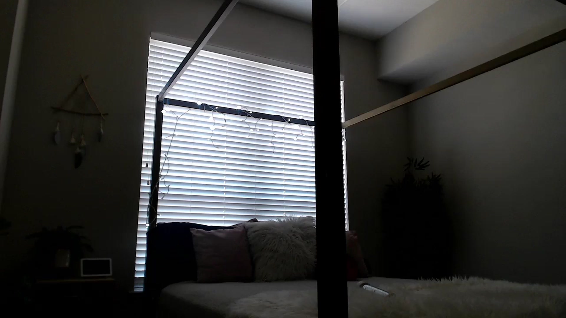 Gallery image thumbnail from Alexis_Anne's myfreecams stream on, 03/19/2024, 17:21 image 12 of 20