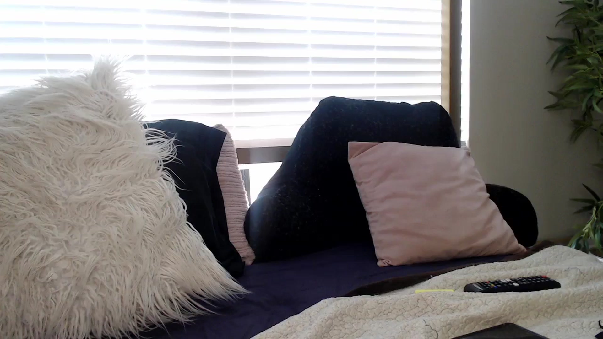Gallery image thumbnail from Alexis_Anne's myfreecams stream on, 03/22/2024, 18:12 image 15 of 20