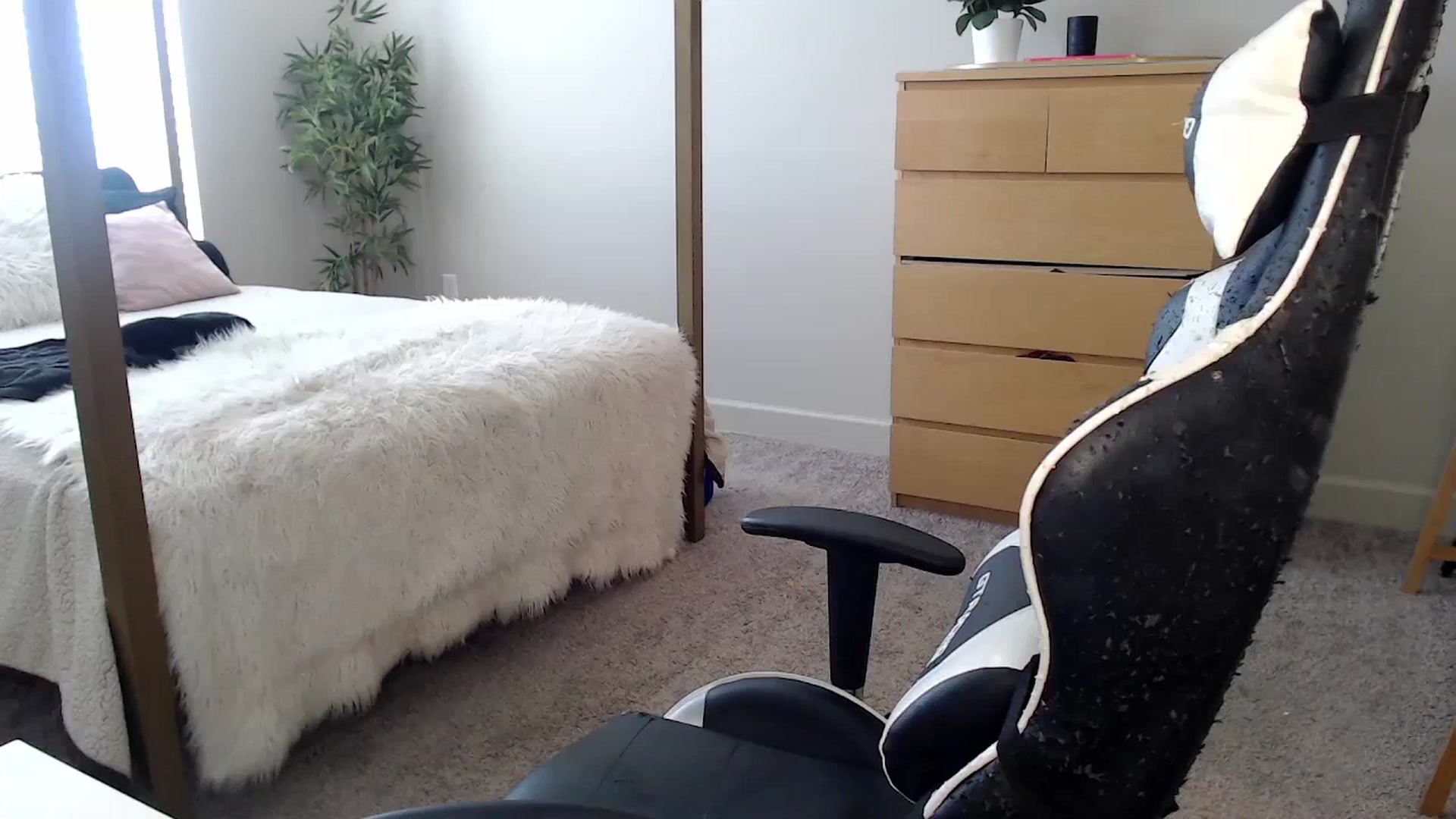 Gallery image thumbnail from Alexis_Anne's myfreecams stream on, 04/01/2024, 18:52 image 11 of 20