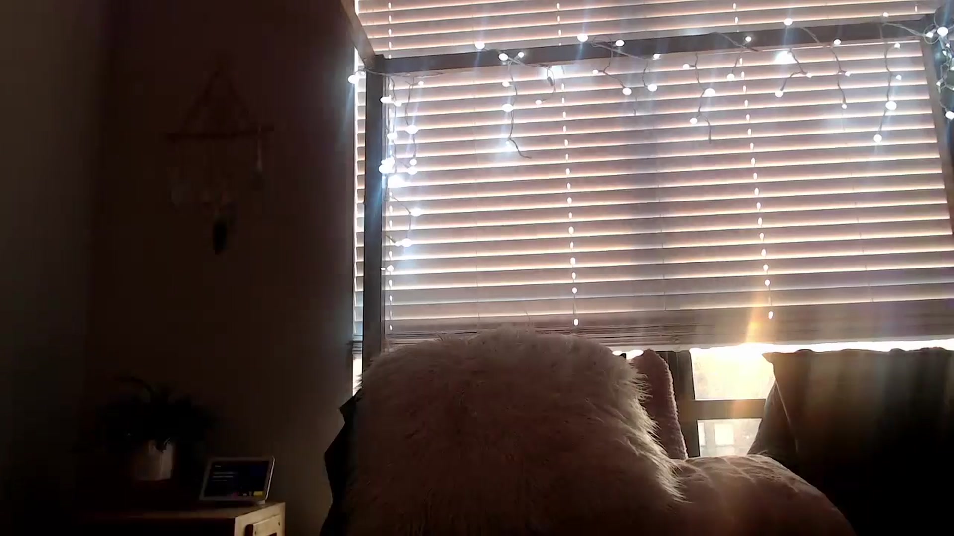 Gallery image thumbnail from Alexis_Anne's myfreecams stream on, 04/27/2024, 01:31 image 10 of 20