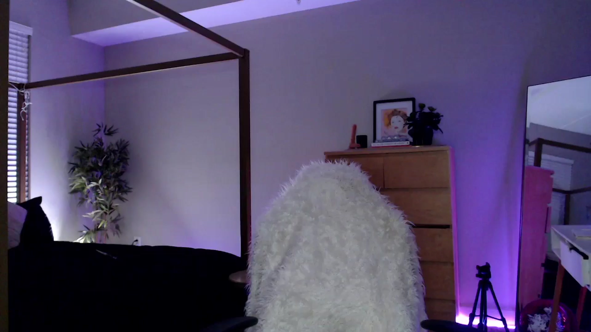 Gallery image thumbnail from Alexis_Anne's myfreecams stream on, 04/28/2024, 02:15 image 2 of 20