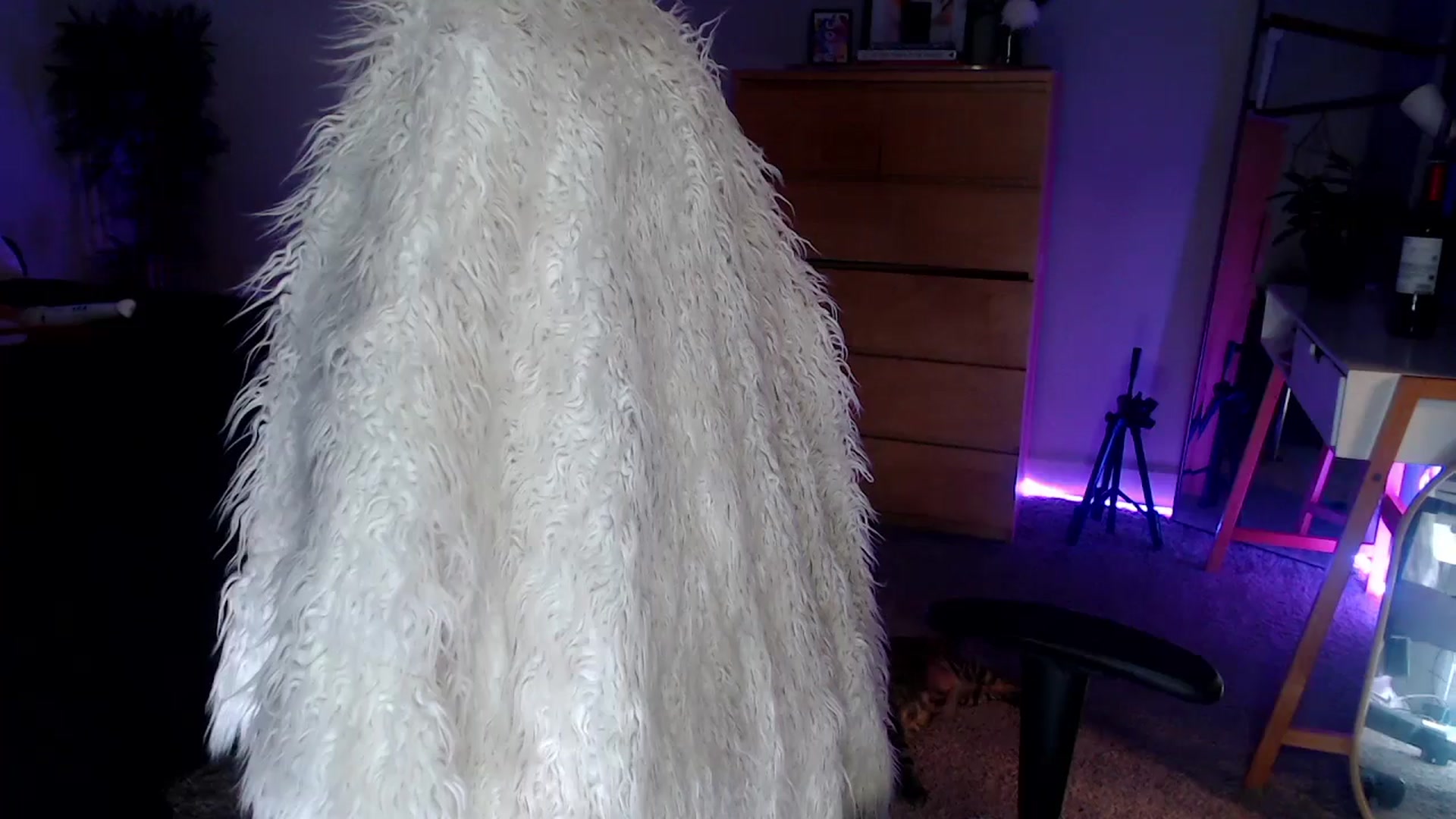 Gallery image thumbnail from Alexis_Anne's myfreecams stream on, 05/21/2024, 02:08 image 10 of 20