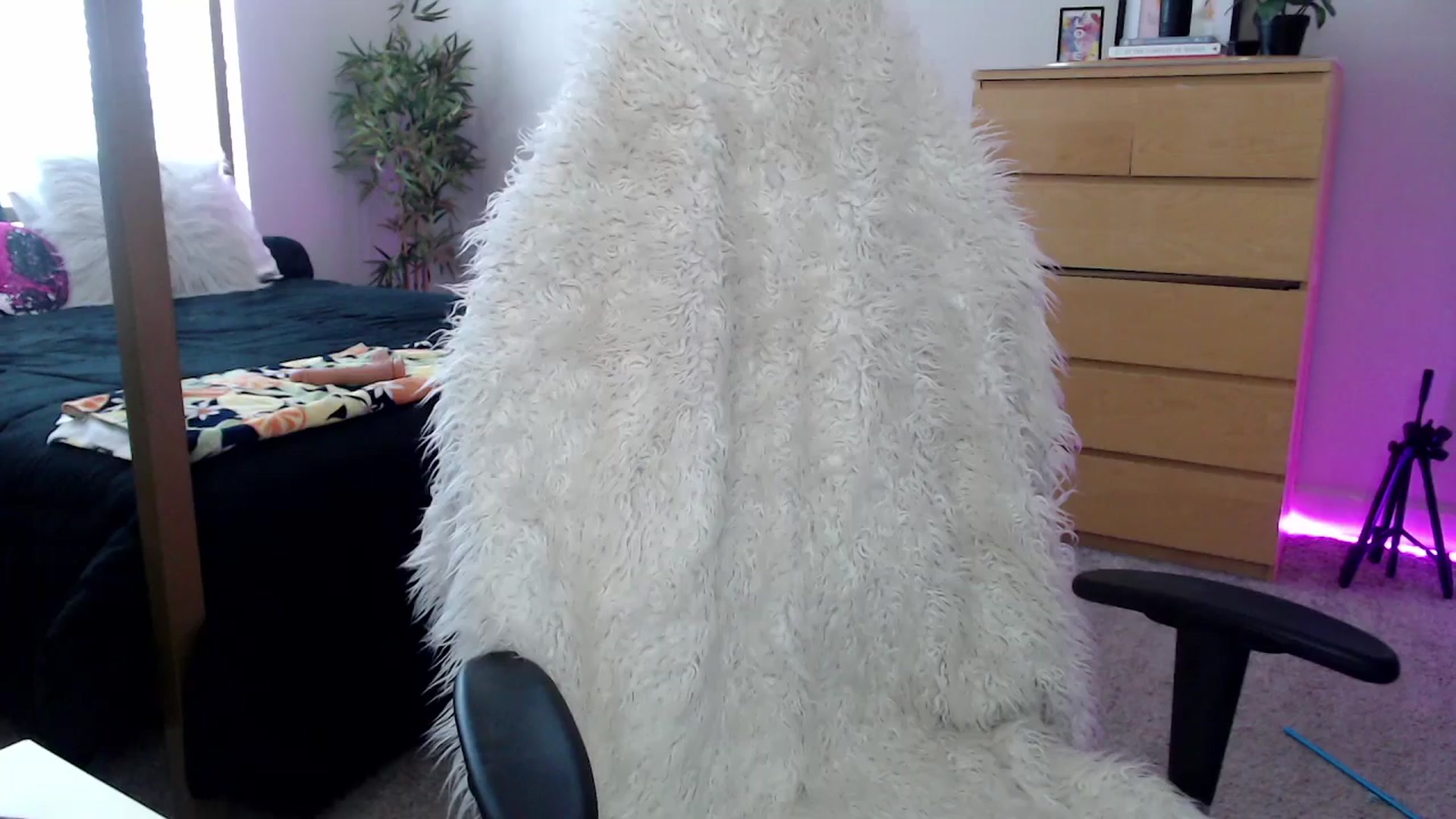 Gallery image thumbnail from Alexis_Anne's myfreecams stream on, 05/23/2024, 16:25 image 3 of 20