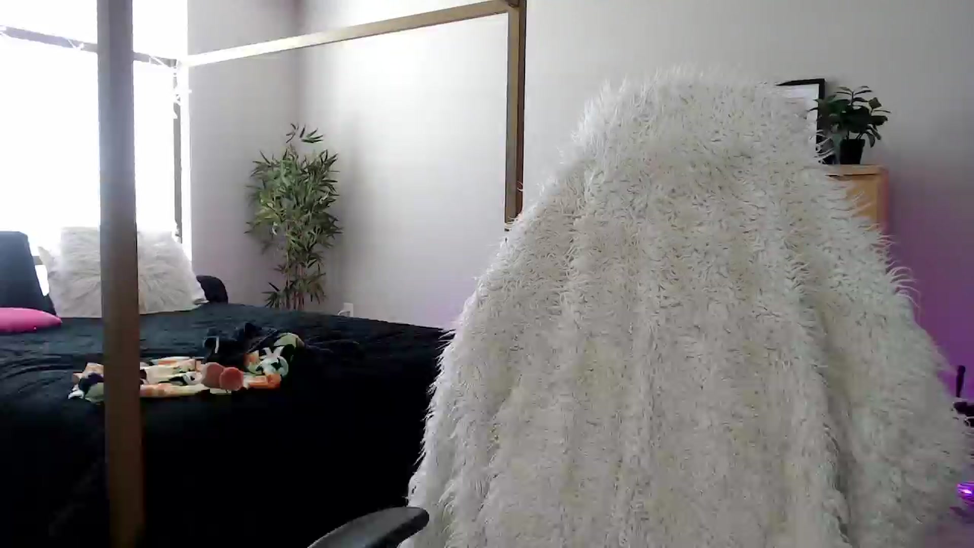 Gallery image thumbnail from Alexis_Anne's myfreecams stream on, 05/23/2024, 18:22 image 19 of 20