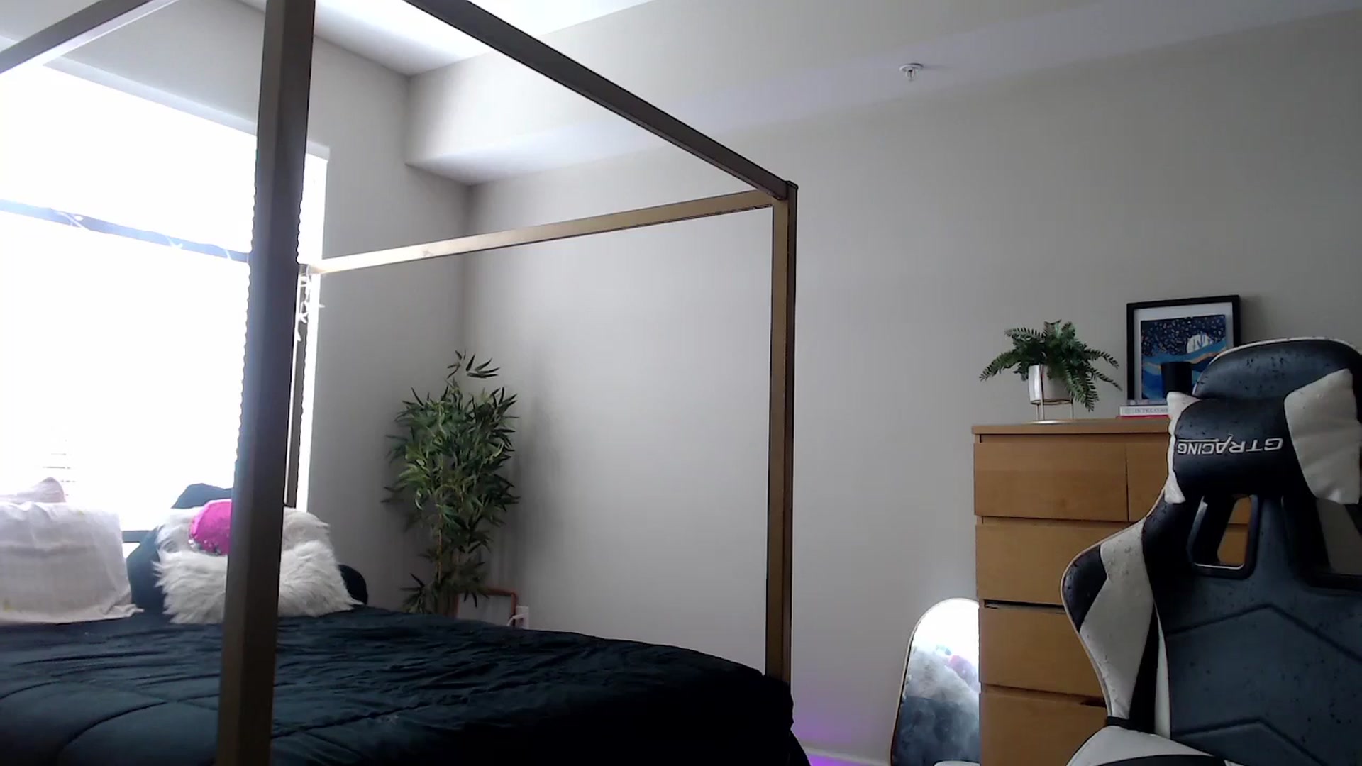 Gallery image thumbnail from Alexis_Anne's myfreecams stream on, 05/31/2024, 22:06 image 2 of 20