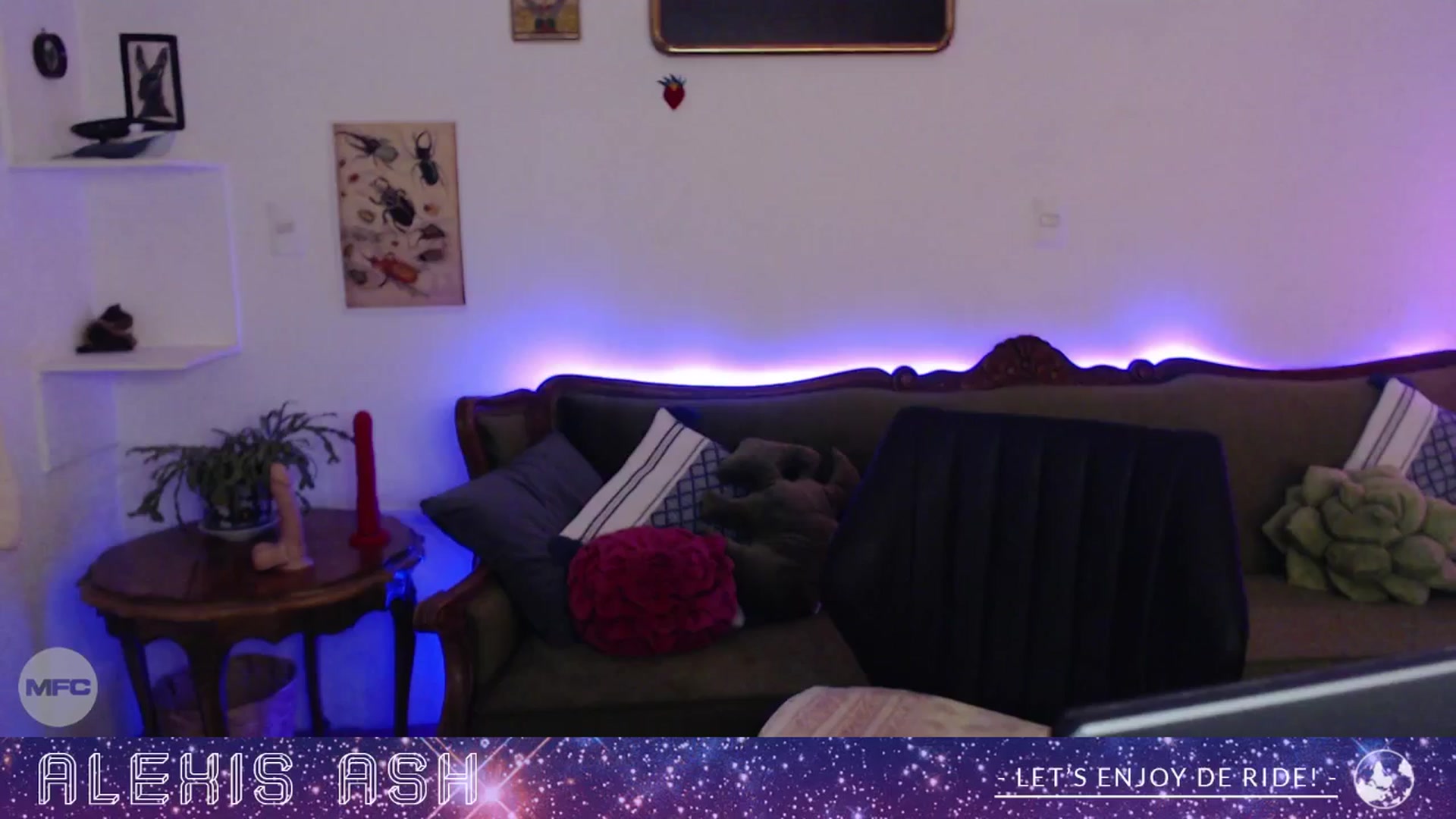 Gallery image thumbnail from Alexis_Ash's myfreecams stream on, 12/07/2025, 07:29 image 13 of 20