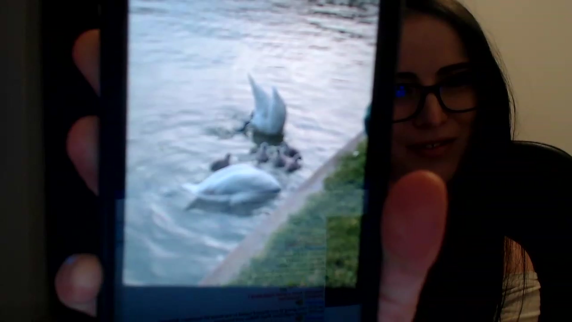 Gallery image thumbnail from Alexys23's myfreecams stream on, 05/15/2023, 03:27 image 3 of 20