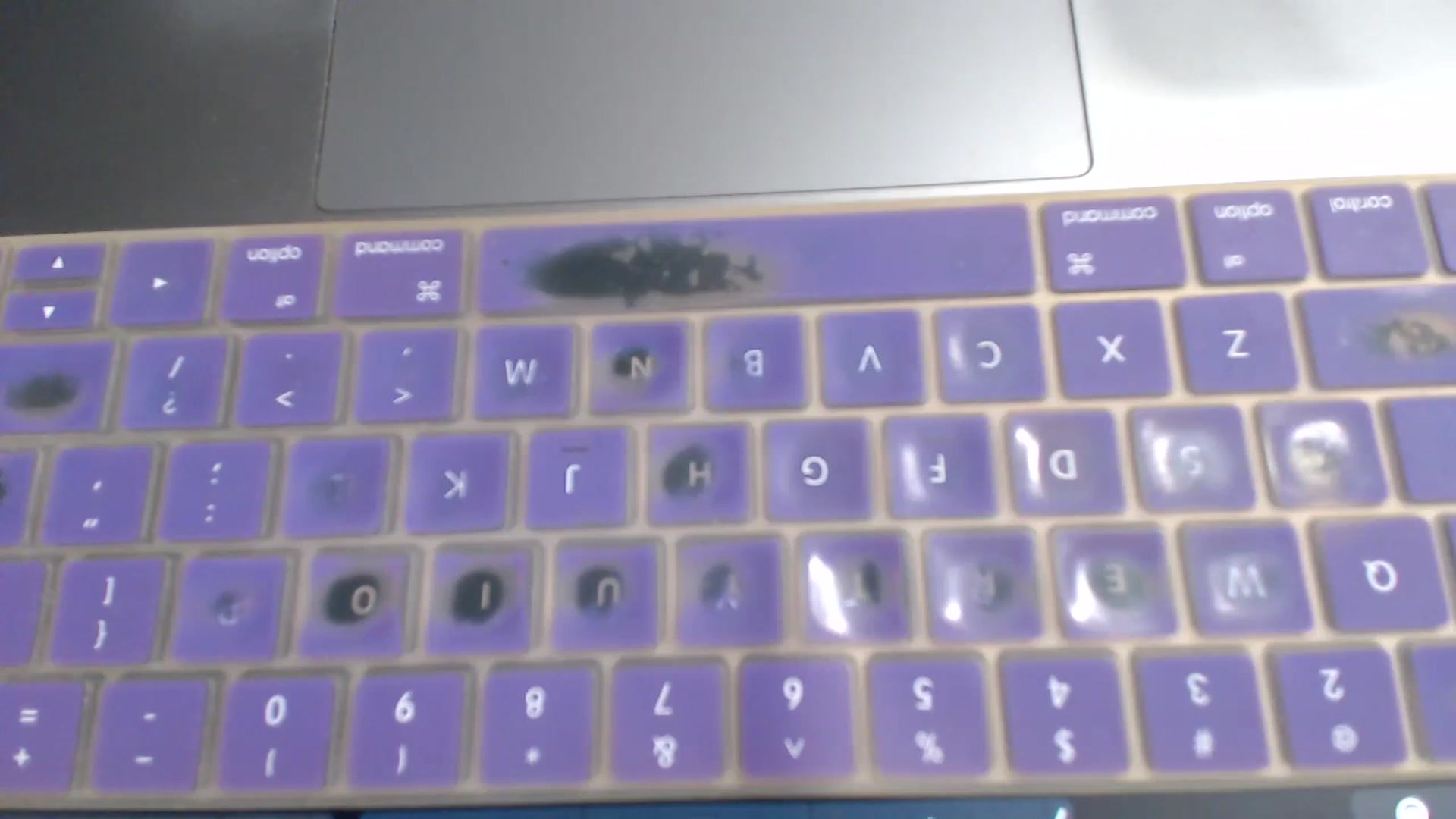 Gallery image thumbnail from Alexys23's myfreecams stream on, 10/09/2023, 02:40 image 6 of 20