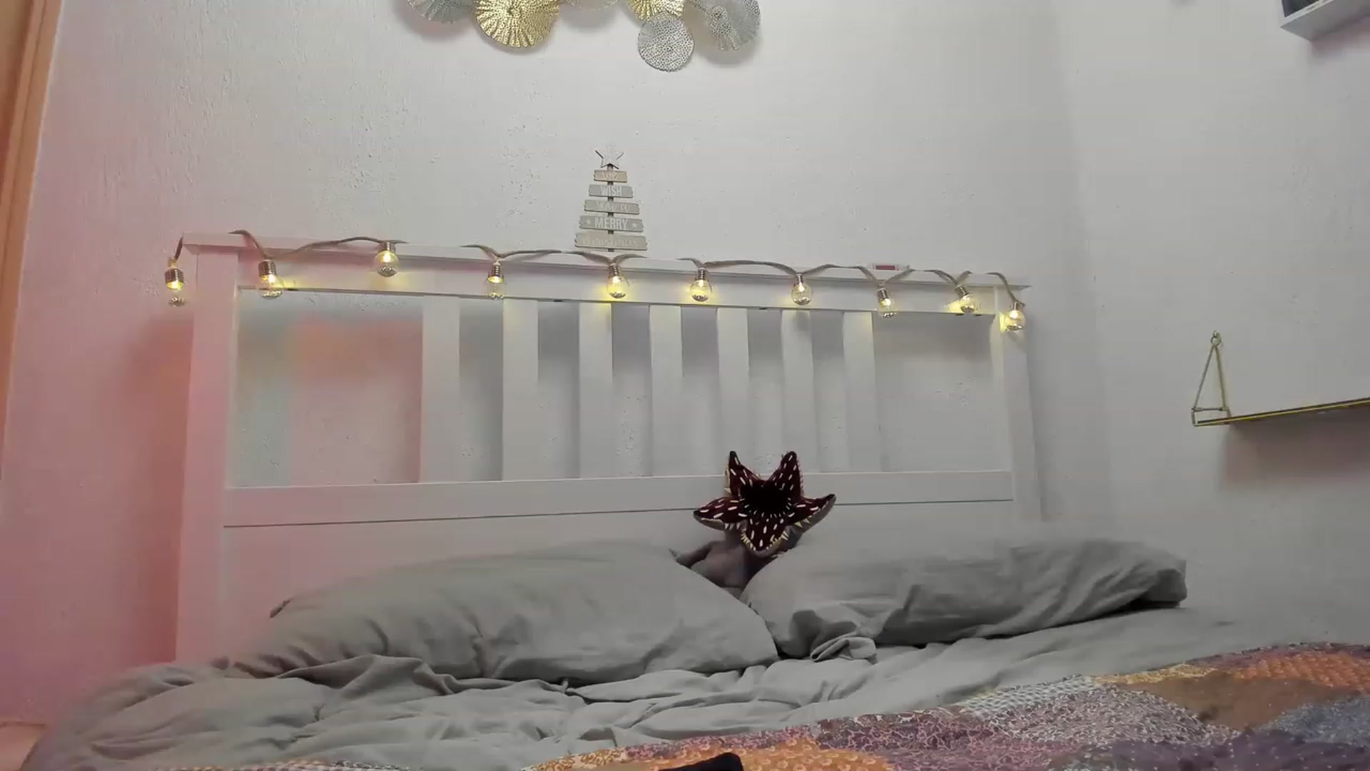 Gallery image thumbnail from Aliannaa's myfreecams stream on, 12/19/2022, 20:09 image 3 of 20