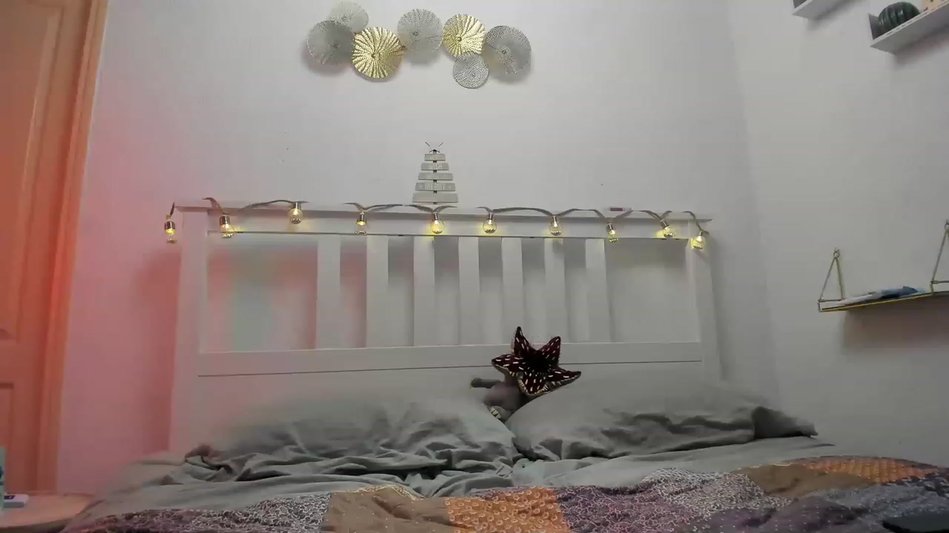 Gallery image thumbnail from Aliannaa's myfreecams stream on, 12/20/2022, 19:17 image 15 of 20