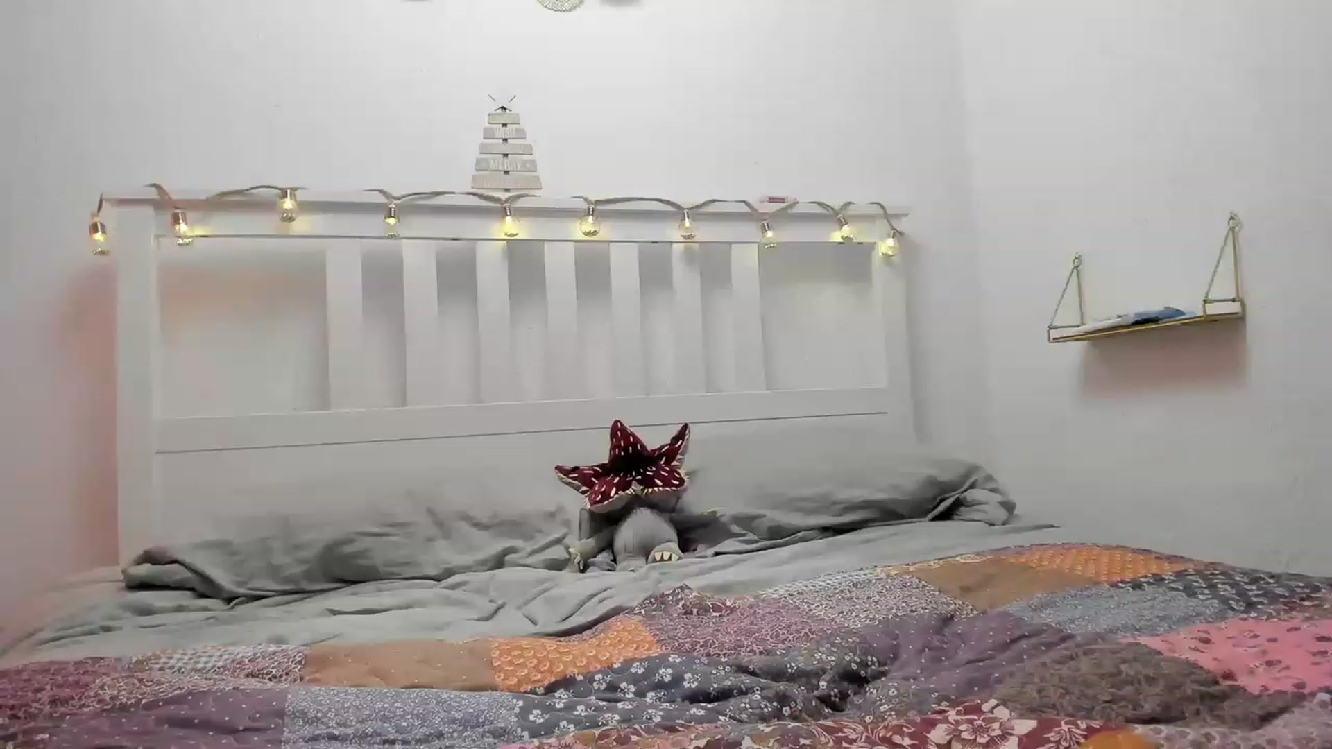 Gallery image thumbnail from Aliannaa's myfreecams stream on, 12/20/2022, 21:38 image 6 of 20