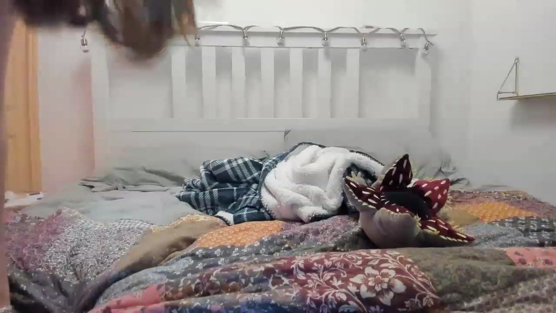 Gallery image thumbnail from Aliannaa's myfreecams stream on, 01/05/2023, 22:04 image 20 of 20
