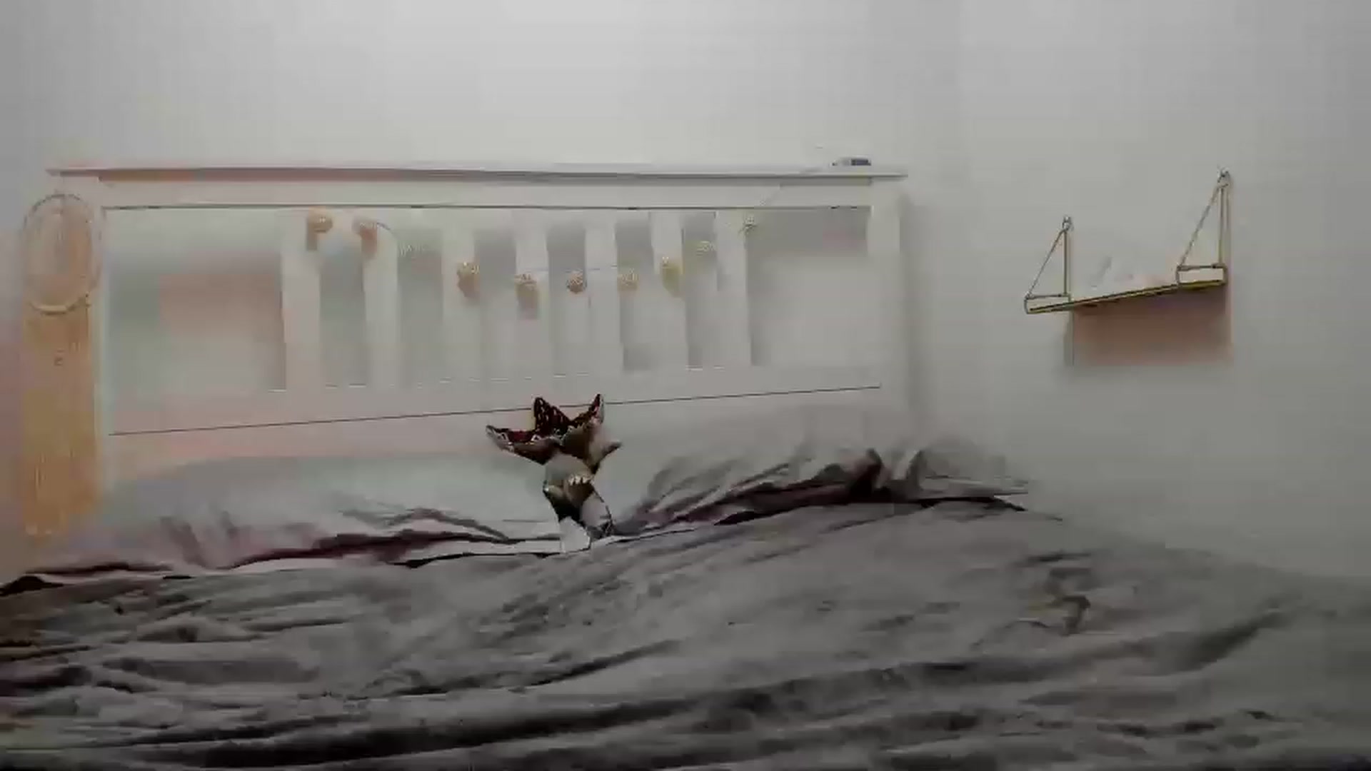 Gallery image thumbnail from Aliannaa's myfreecams stream on, 01/26/2023, 18:41 image 18 of 20