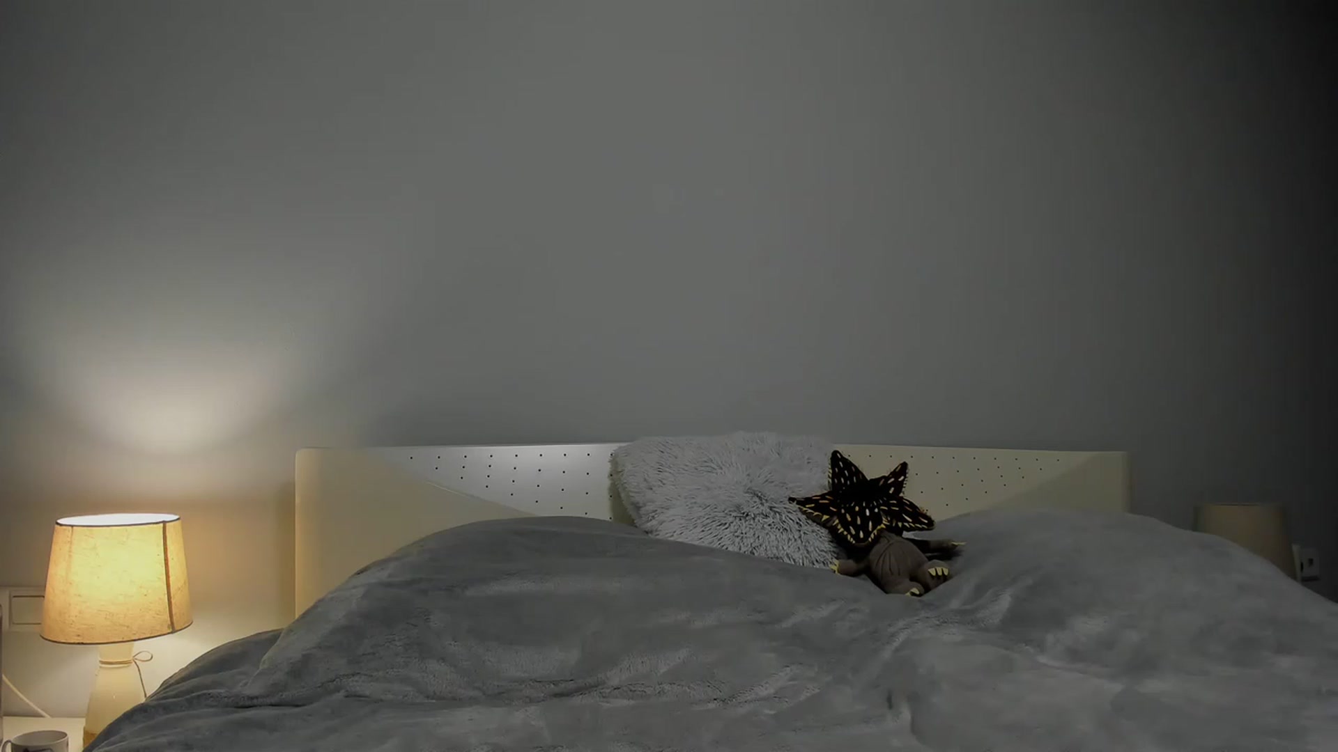 Gallery image thumbnail from Aliannaa's myfreecams stream on, 02/23/2023, 14:16 image 17 of 20