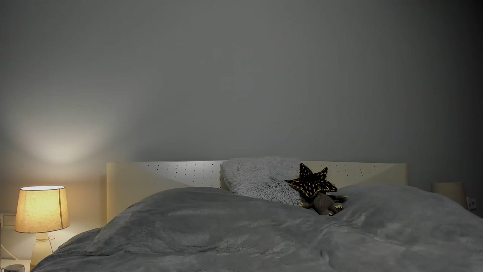 Gallery image thumbnail from Aliannaa's myfreecams stream on, 02/23/2023, 14:16 image 18 of 20