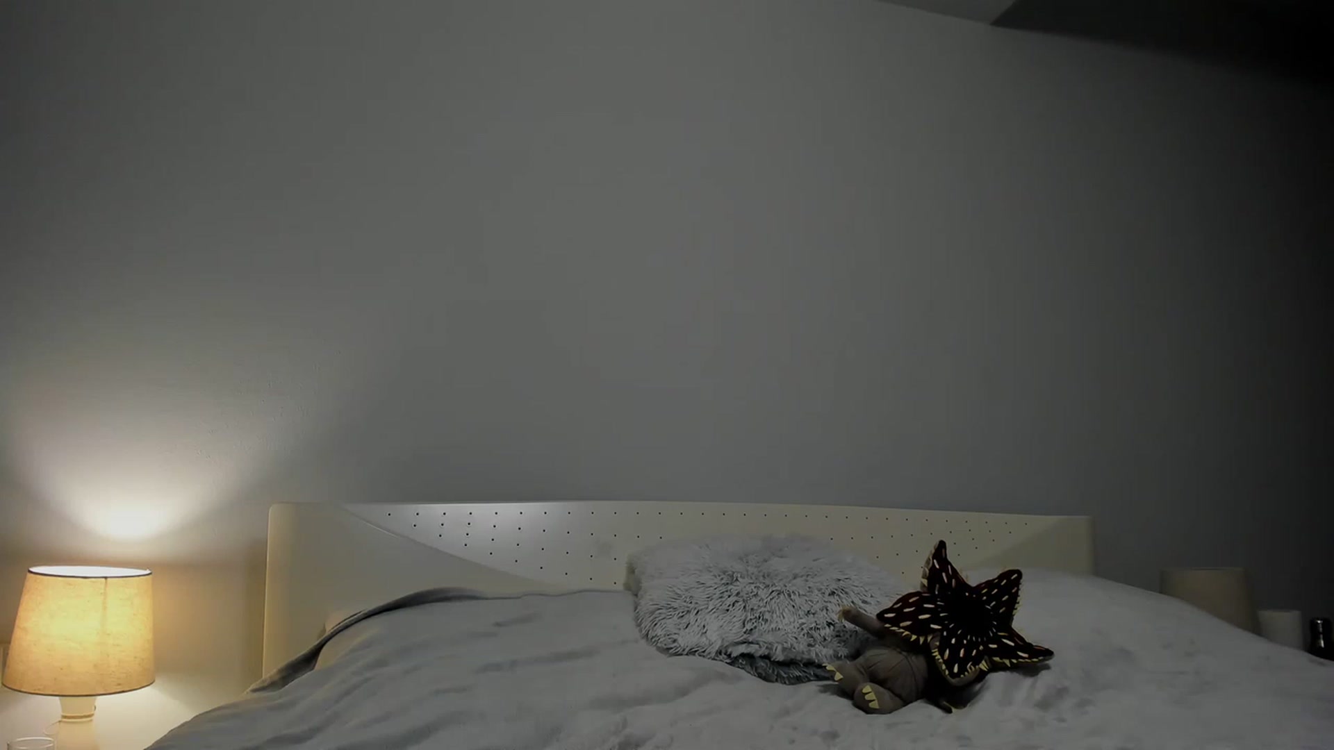 Gallery image thumbnail from Aliannaa's myfreecams stream on, 02/25/2023, 17:00 image 16 of 20