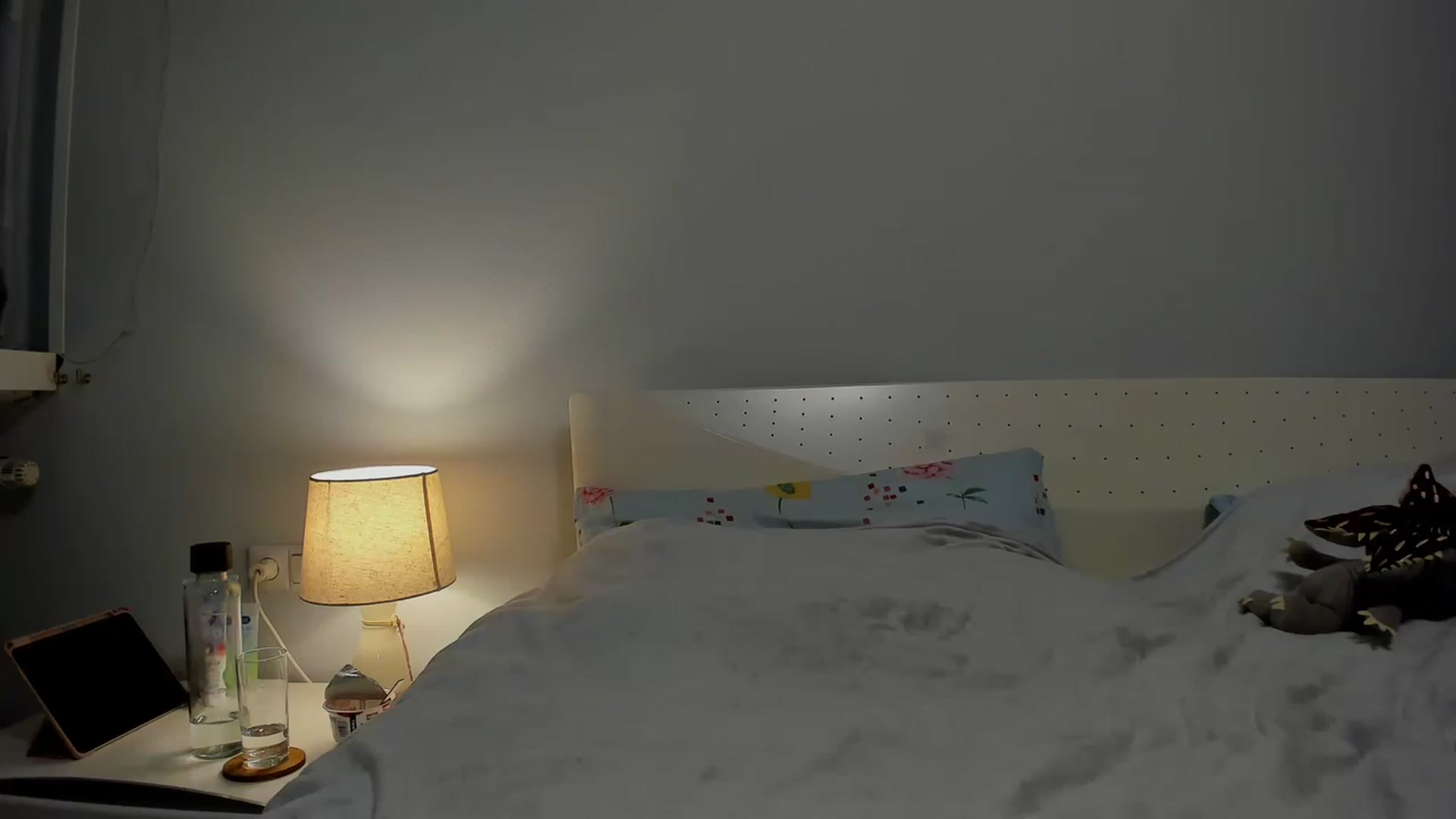 Gallery image thumbnail from Aliannaa's myfreecams stream on, 05/20/2023, 13:46 image 7 of 20
