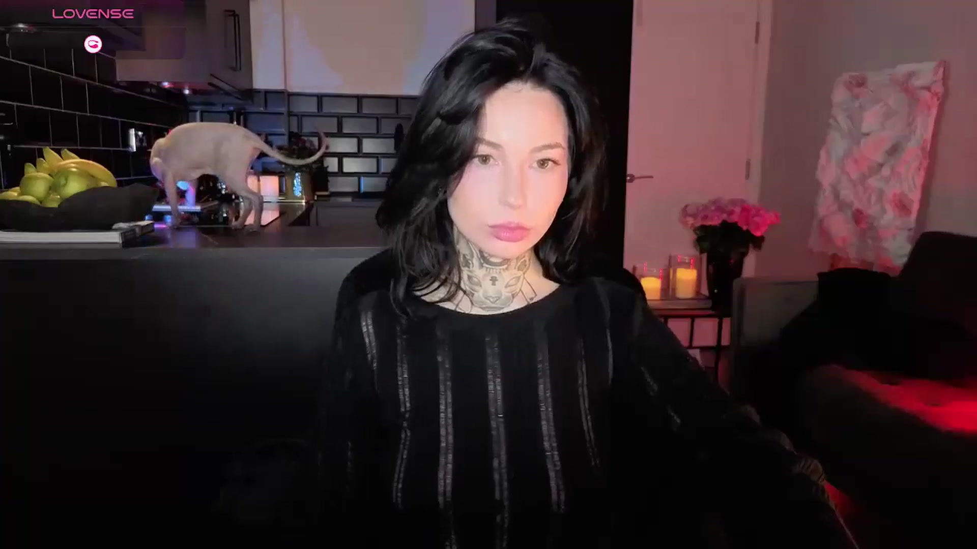 Gallery image thumbnail from Alice's myfreecams stream on, 12/25/2025, 03:50 image 17 of 20