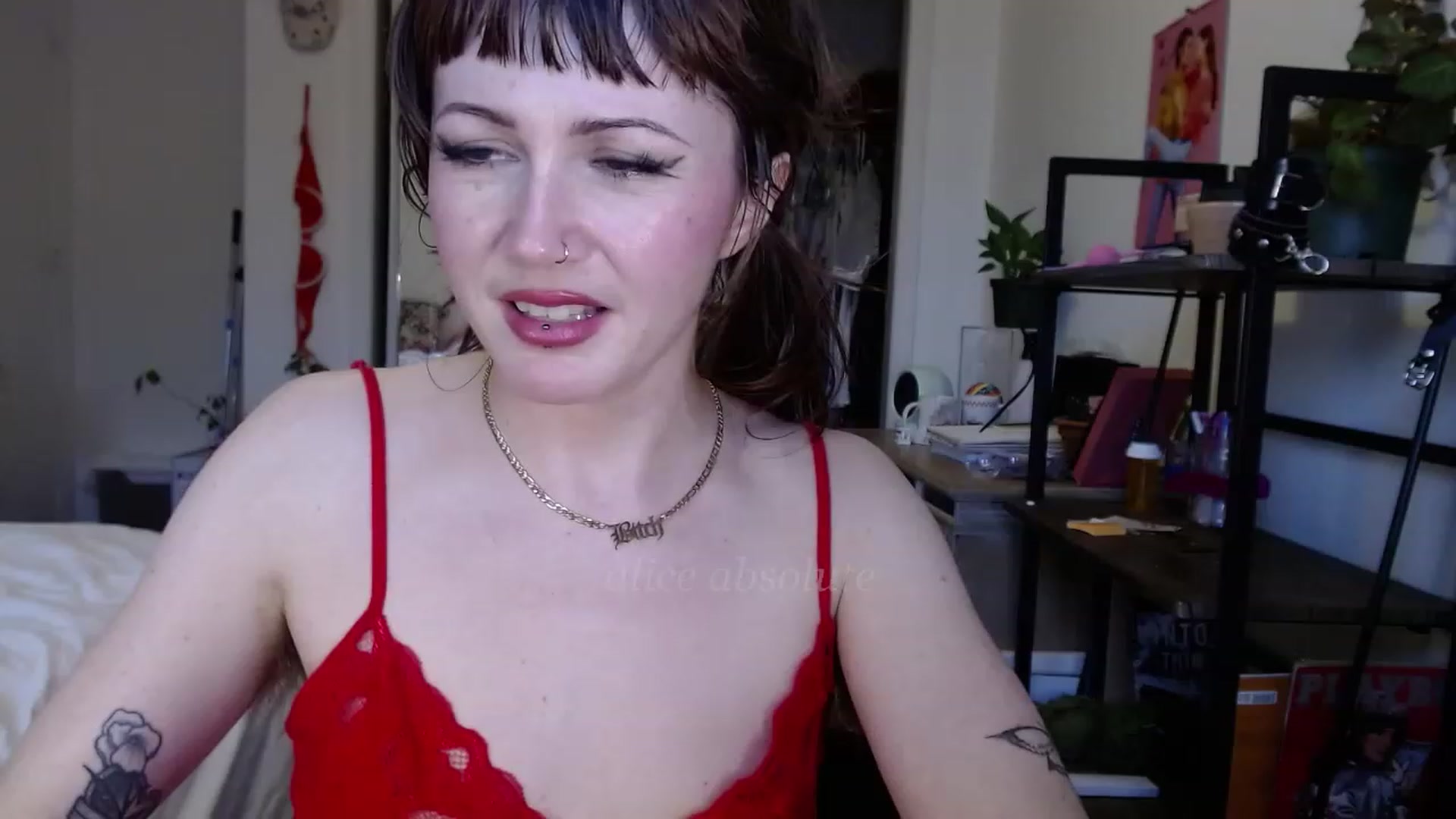 Gallery image thumbnail from AliceBdayBabe's myfreecams stream on, 01/19/2023, 21:59 image 3 of 20