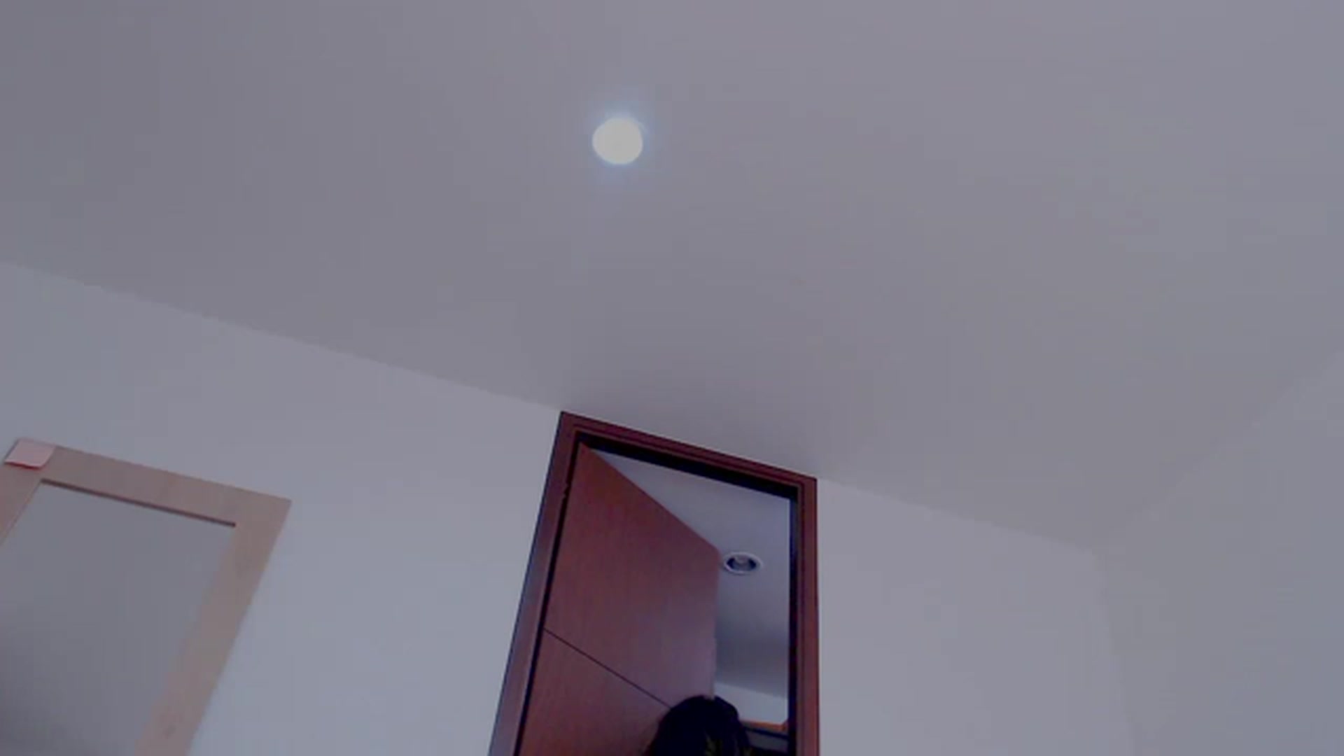Gallery image thumbnail from AliceFox_'s myfreecams stream on, 01/21/2023, 20:20 image 7 of 20