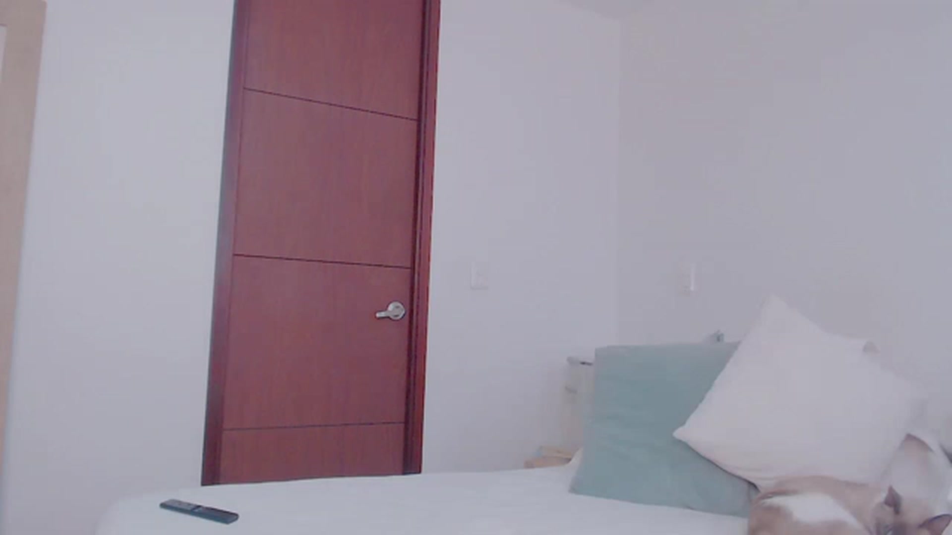 Gallery image thumbnail from AliceFox_'s myfreecams stream on, 01/30/2023, 19:22 image 20 of 20