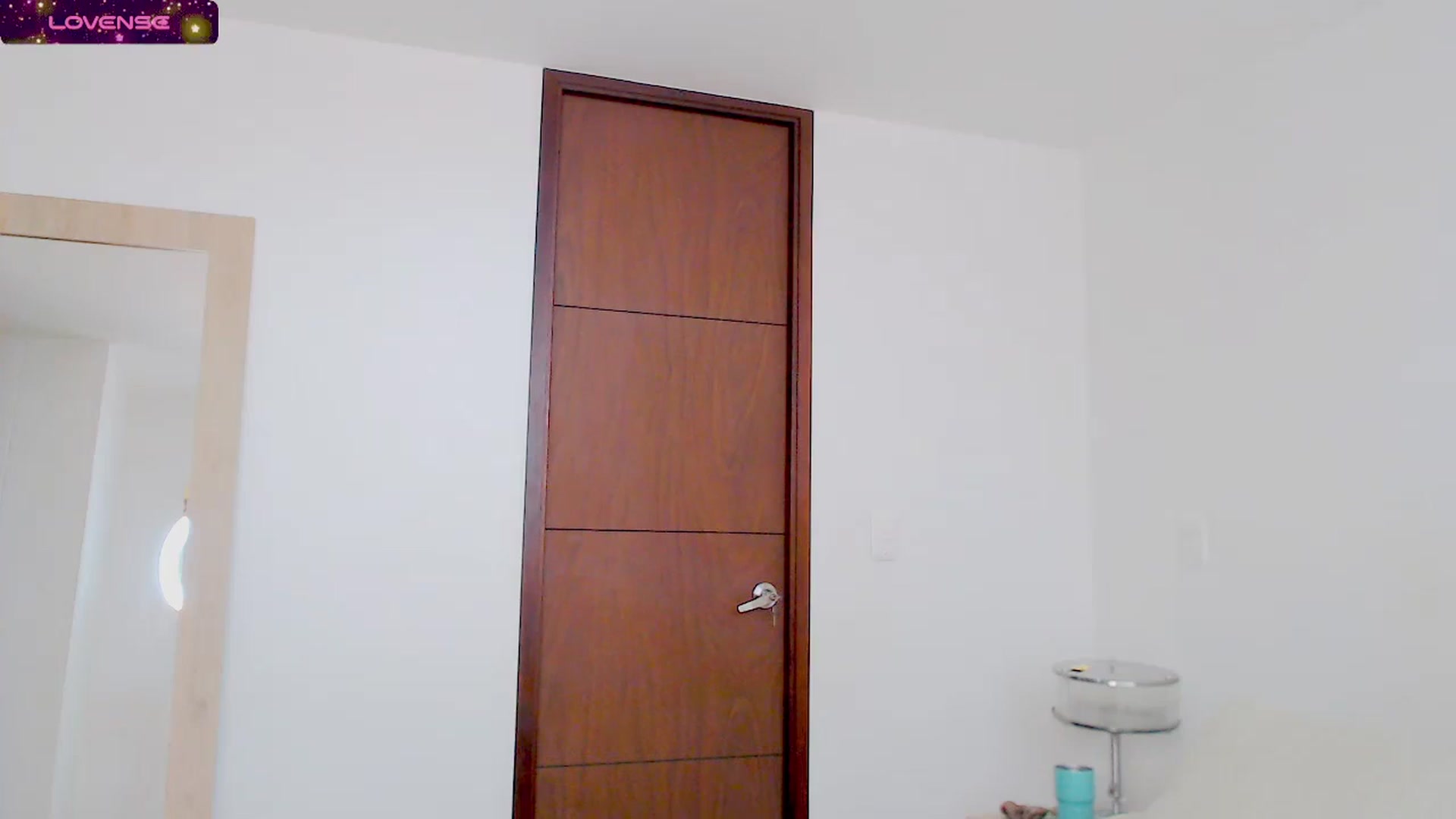 Gallery image thumbnail from AliceFox_'s myfreecams stream on, 12/24/2023, 20:11 image 13 of 20