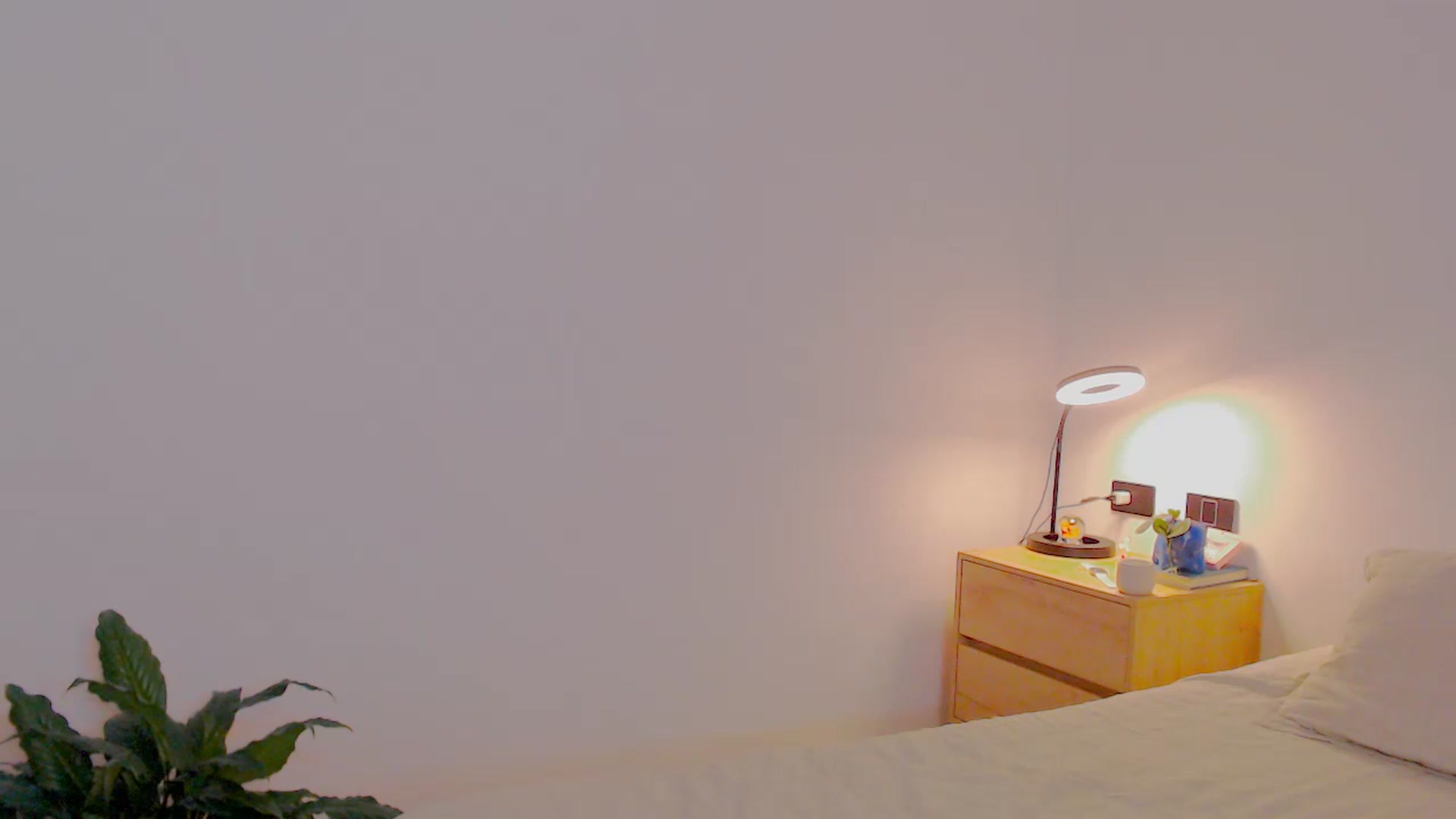Gallery image thumbnail from AliceFox_'s myfreecams stream on, 12/27/2025, 01:17 image 16 of 20