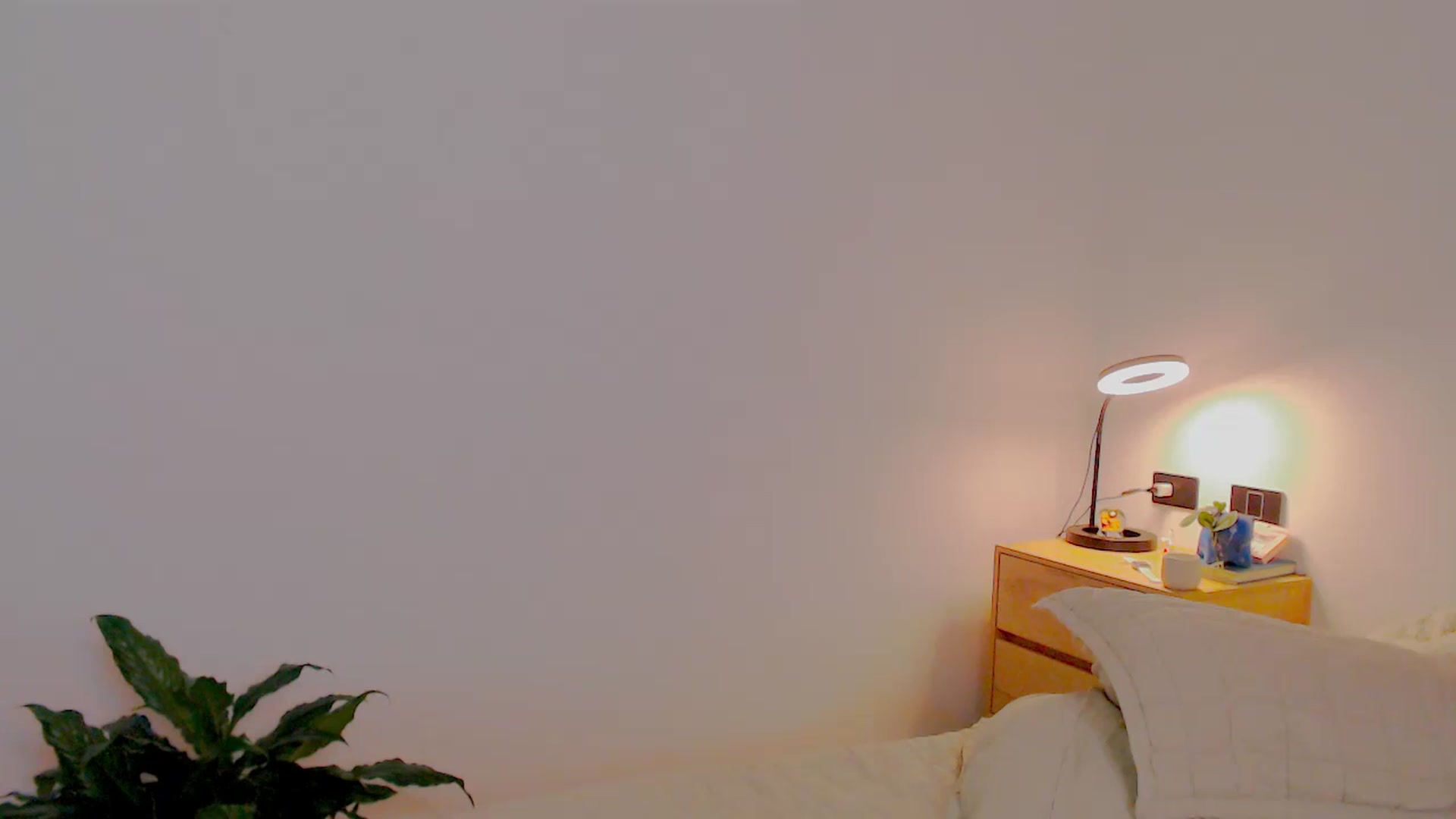 Gallery image thumbnail from AliceFox_'s myfreecams stream on, 12/27/2025, 04:19 image 10 of 20