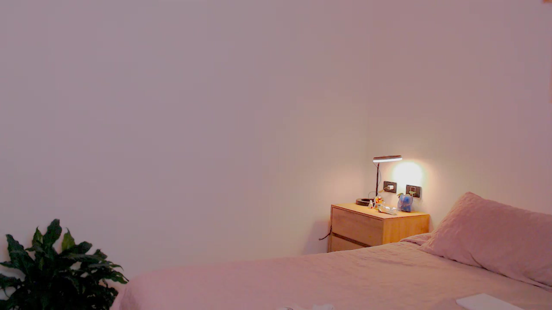 Gallery image thumbnail from AliceFox_'s myfreecams stream on, 01/18/2026, 04:00 image 1 of 20