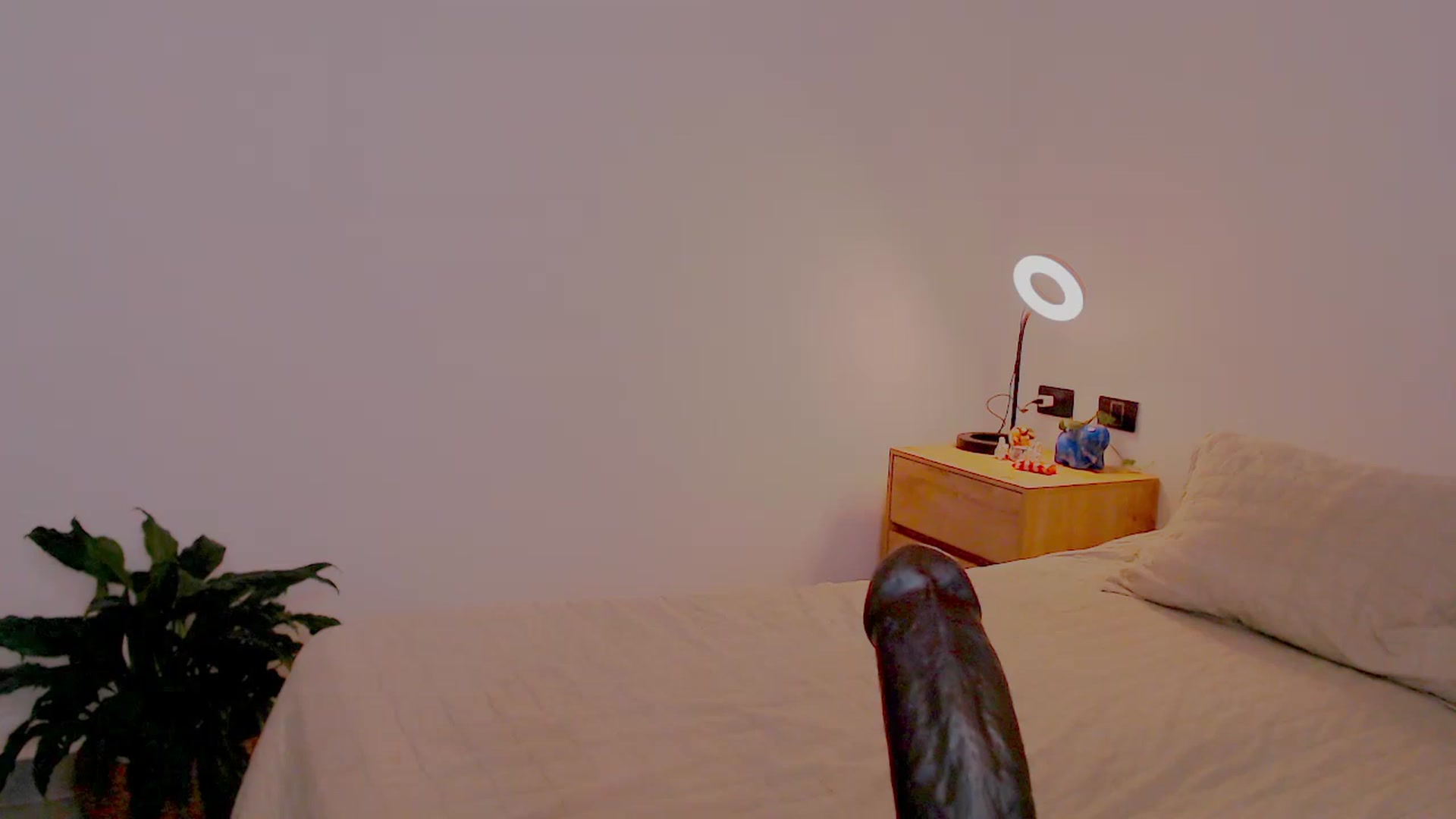 Gallery image thumbnail from AliceFox_'s myfreecams stream on, 01/22/2026, 20:41 image 17 of 20