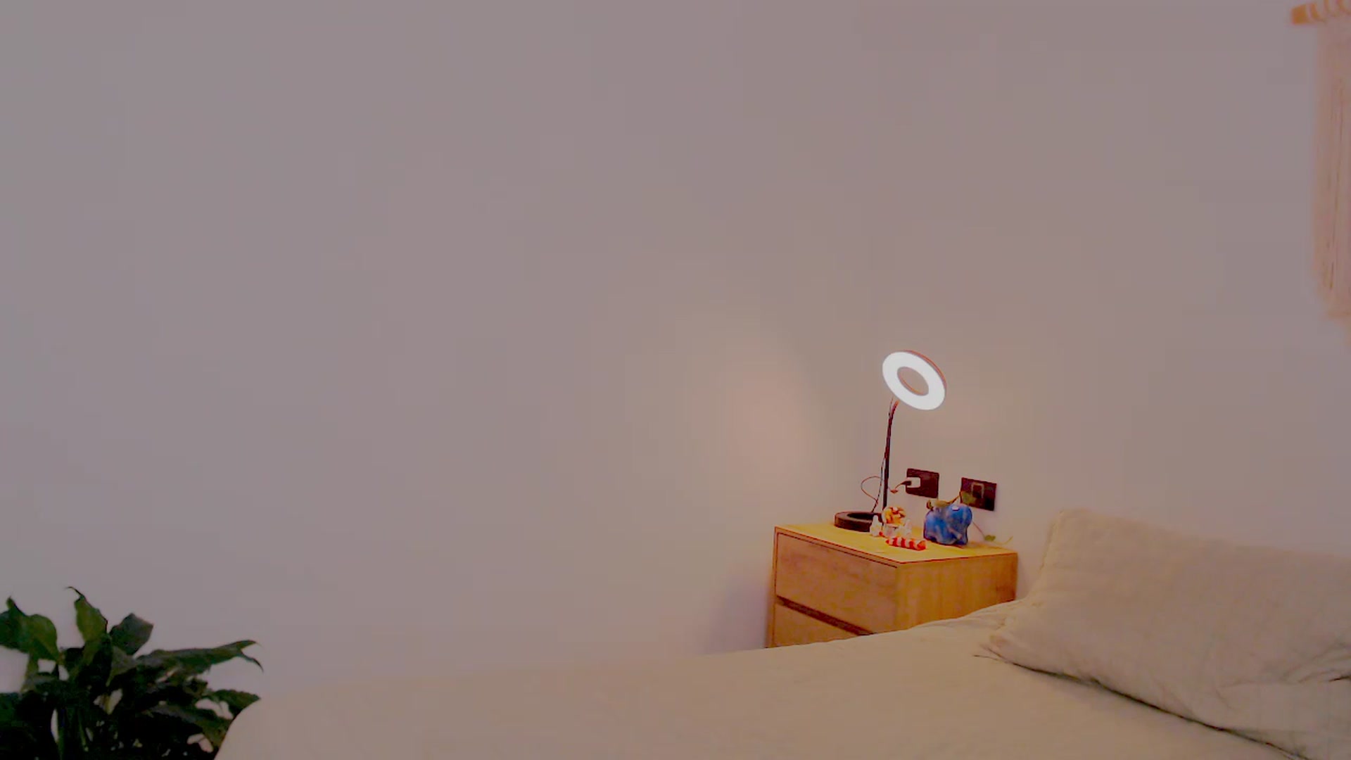 Gallery image thumbnail from AliceFox_'s myfreecams stream on, 01/22/2026, 20:41 image 5 of 20