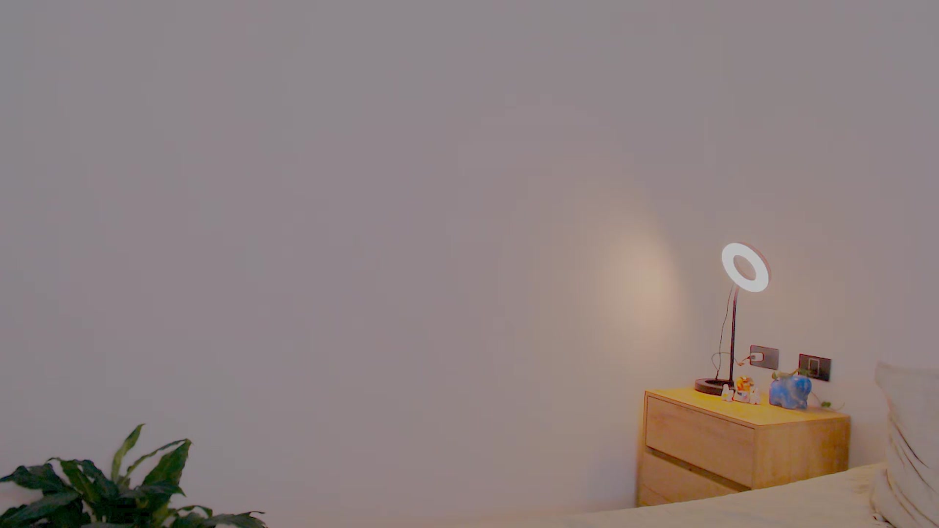 Gallery image thumbnail from AliceFox_'s myfreecams stream on, 01/24/2026, 01:08 image 20 of 20