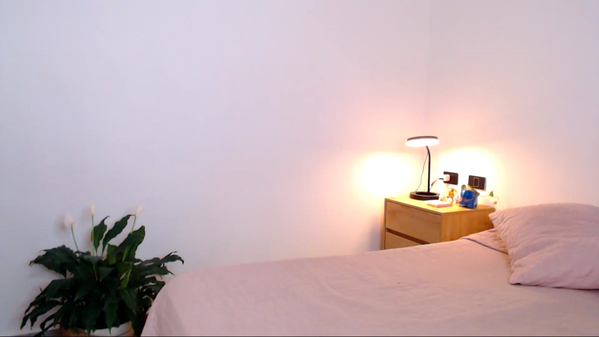 Gallery image thumbnail from AliceFox_'s myfreecams stream on, 02/07/2026, 20:47 image 4 of 20