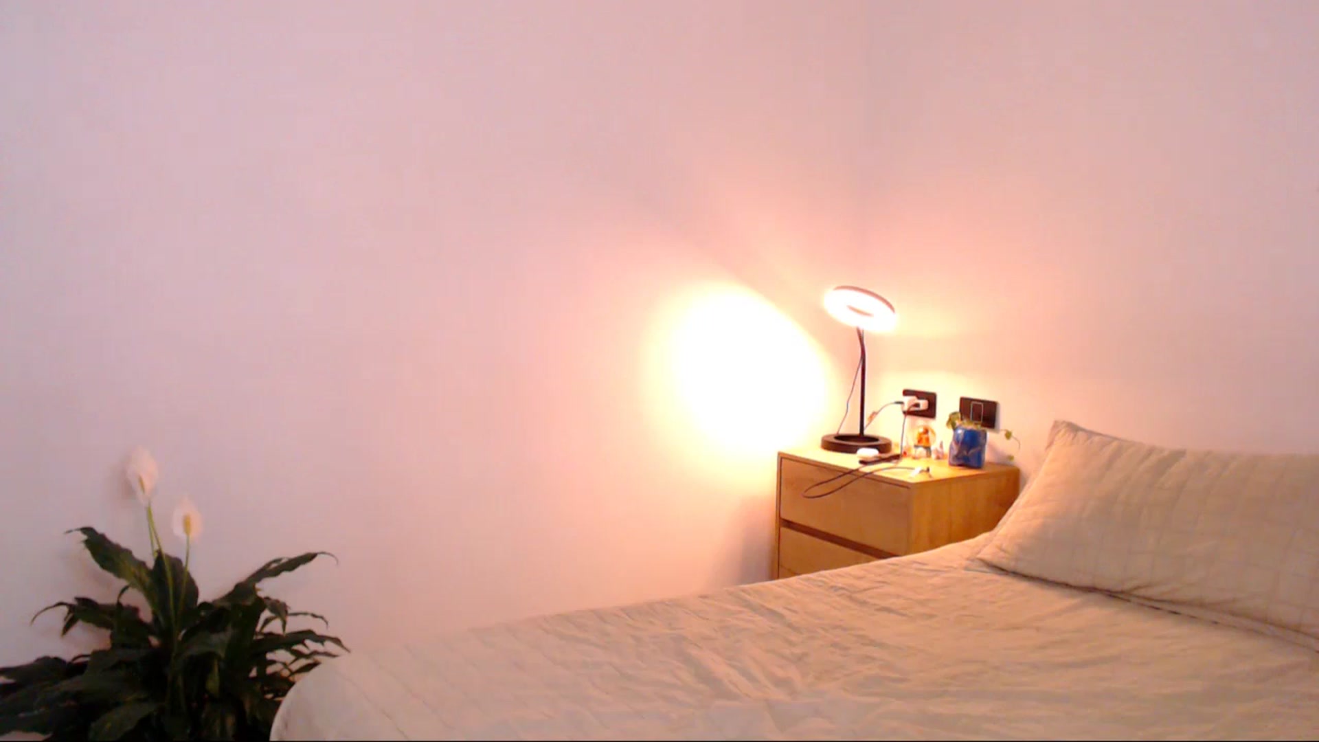 Gallery image thumbnail from AliceFox_'s myfreecams stream on, 02/10/2026, 19:56 image 12 of 20