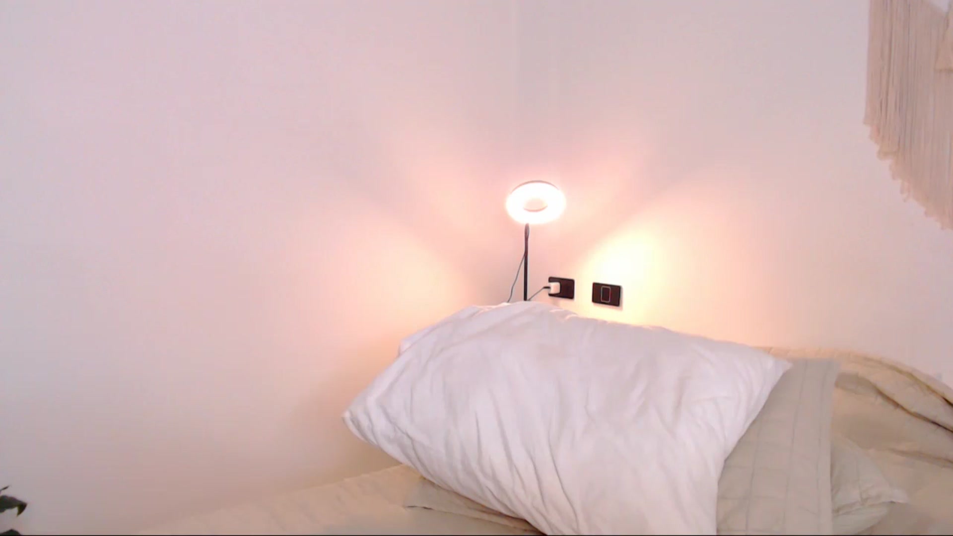 Gallery image thumbnail from AliceFox_'s myfreecams stream on, 02/15/2026, 04:54 image 6 of 20