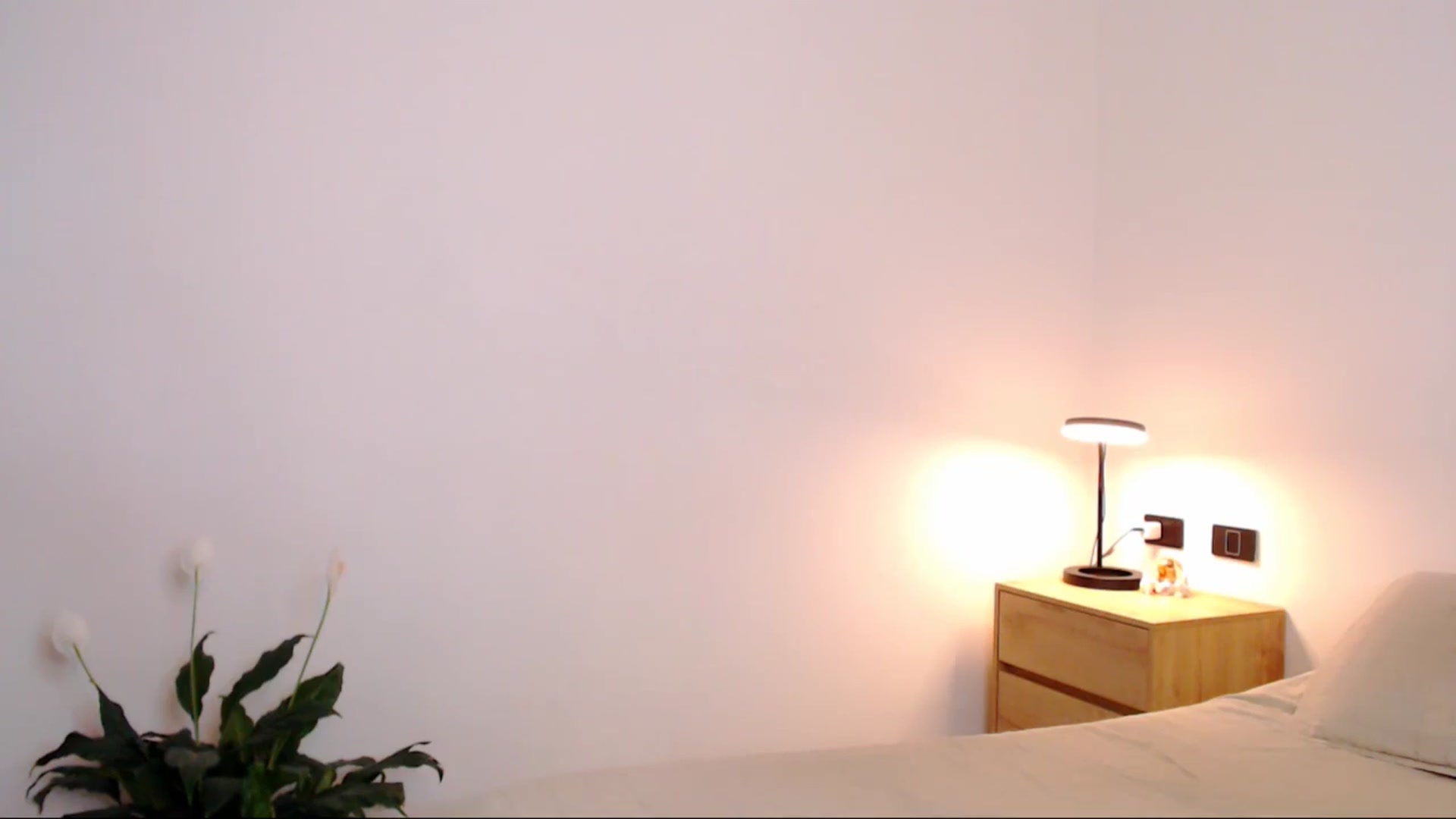 Gallery image thumbnail from AliceFox_'s myfreecams stream on, 02/16/2026, 18:30 image 7 of 20