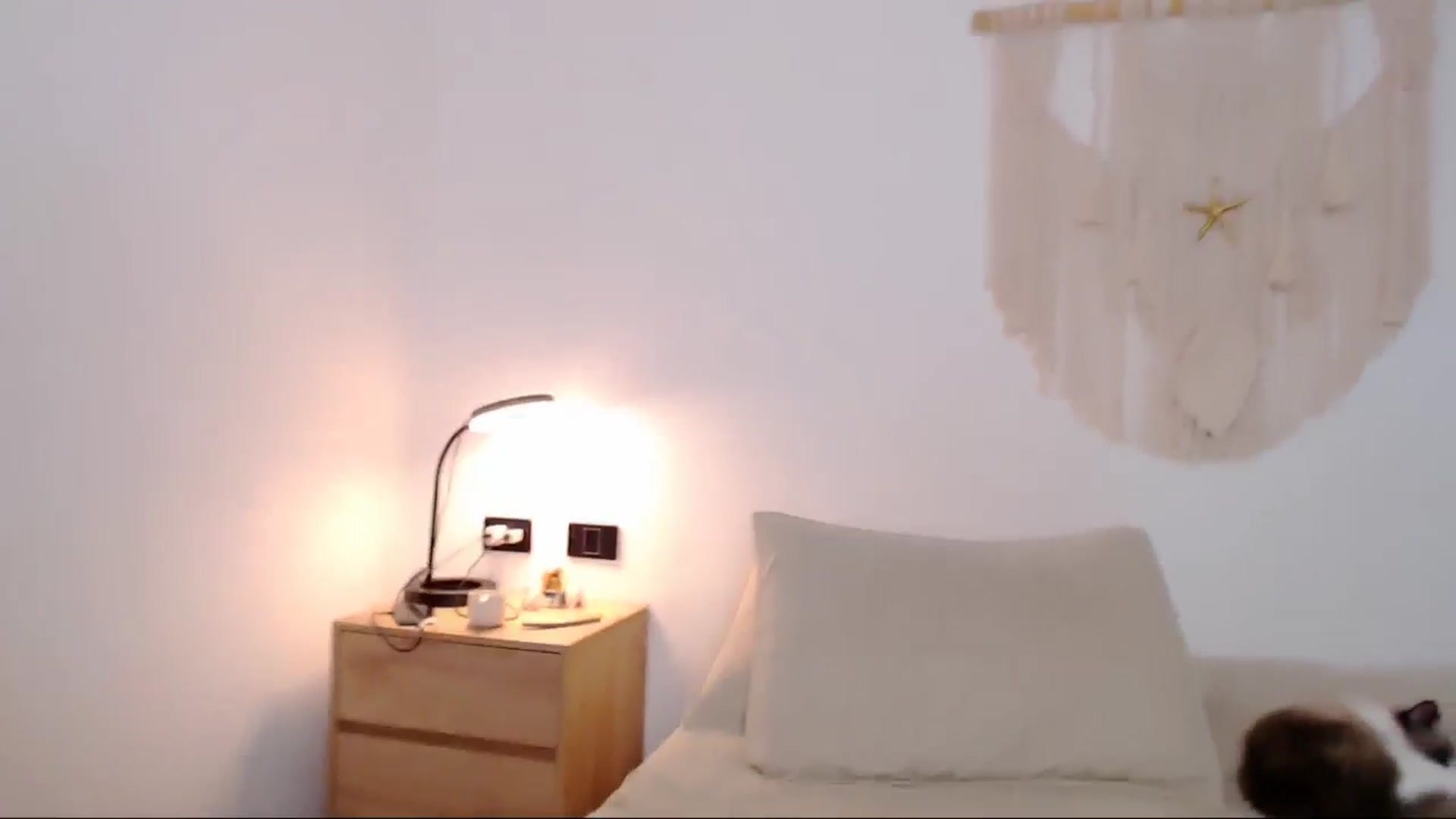 Gallery image thumbnail from AliceFox_'s myfreecams stream on, 03/18/2026, 24:45 image 9 of 20