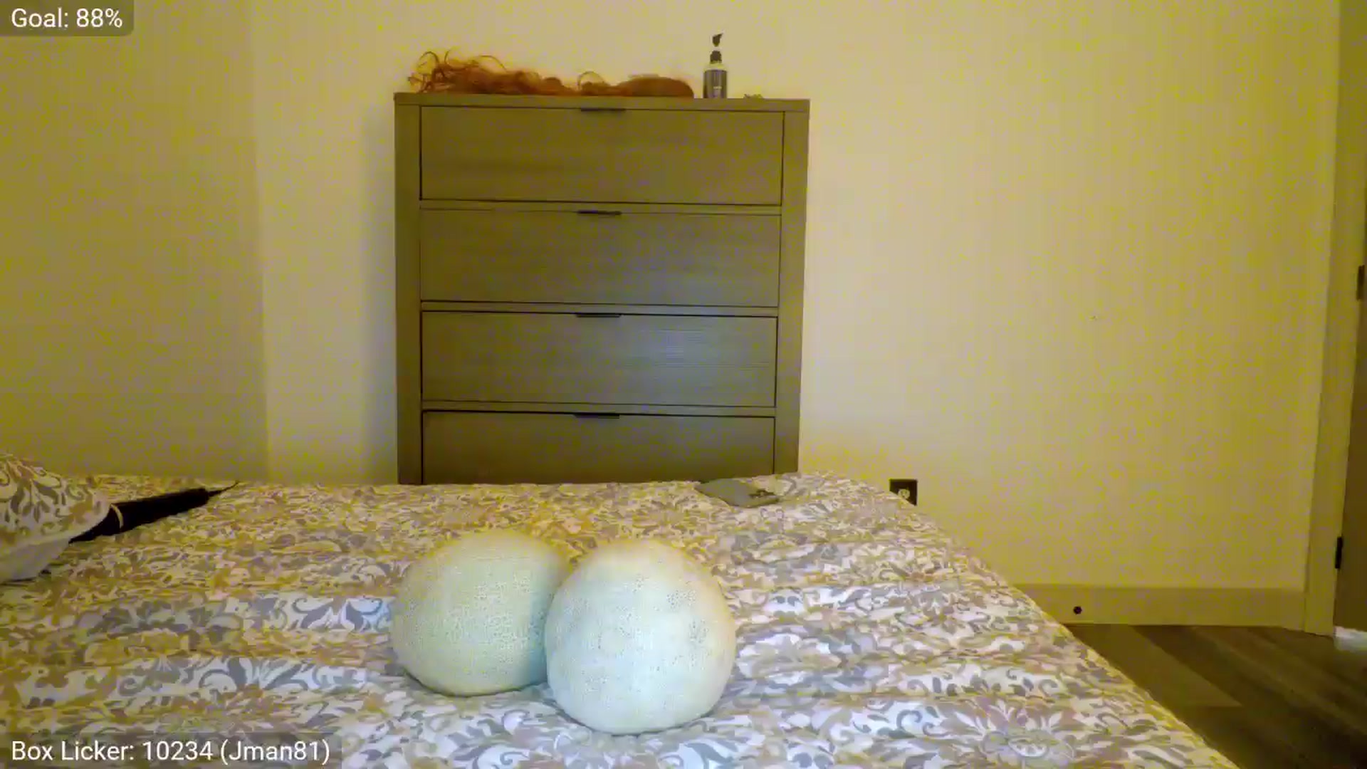Gallery image thumbnail from AliceFunker's myfreecams stream on, 03/03/2026, 07:08 image 10 of 20