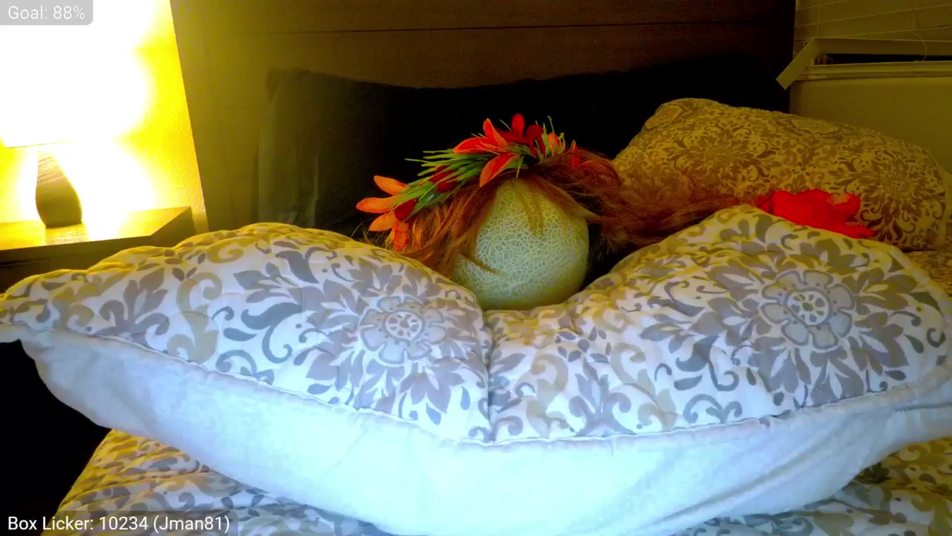 Gallery image thumbnail from AliceFunker's myfreecams stream on, 03/03/2026, 07:08 image 20 of 20