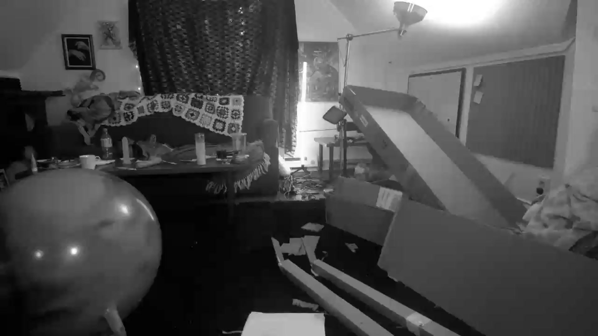 Gallery image thumbnail from AliceFunker's myfreecams stream on, 08/13/2026, 04:36 image 8 of 20